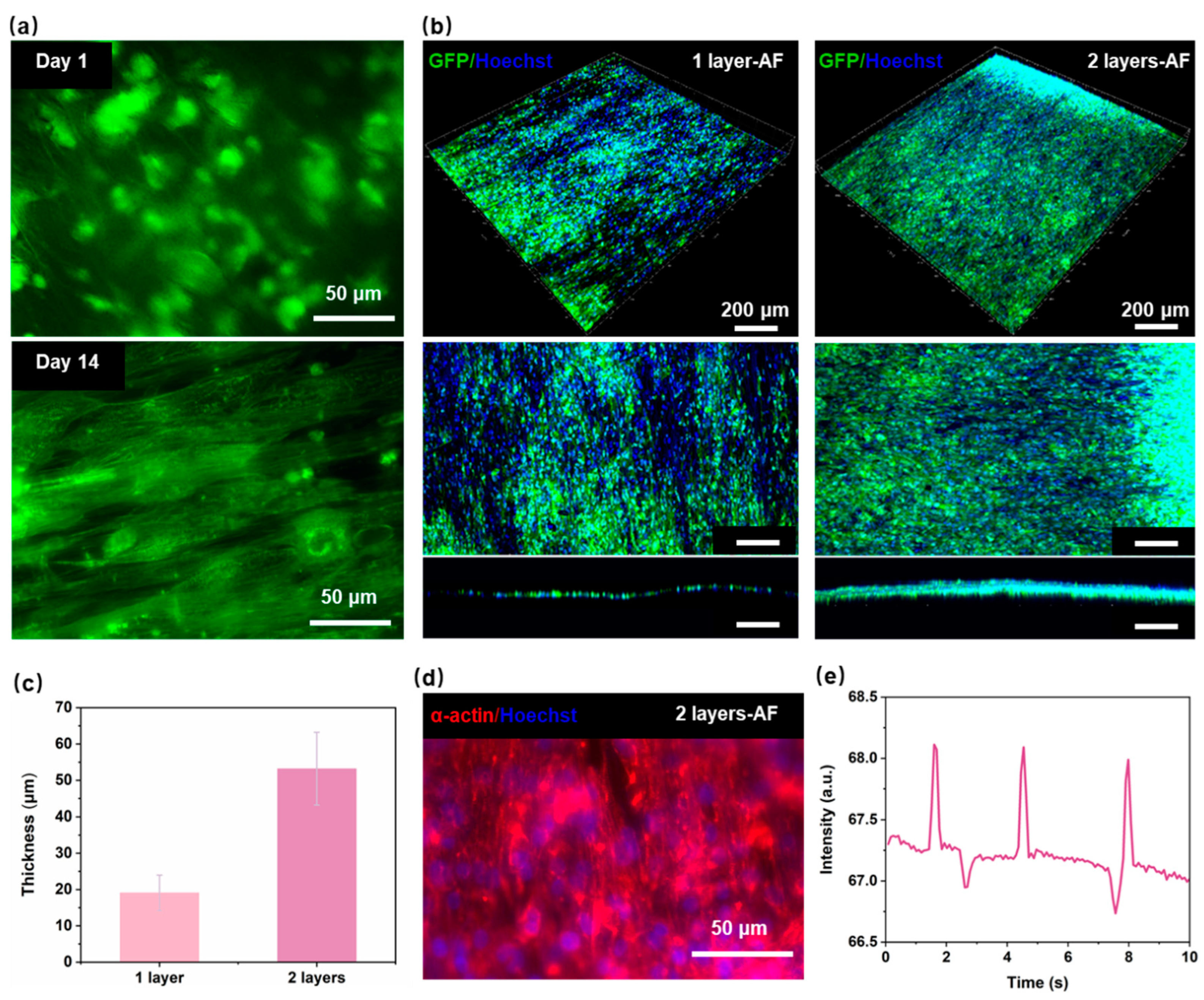 Polymers 16 02664 g004