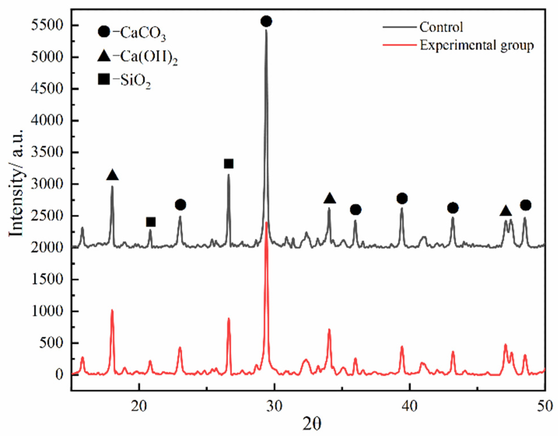 Polymers 16 02665 g011