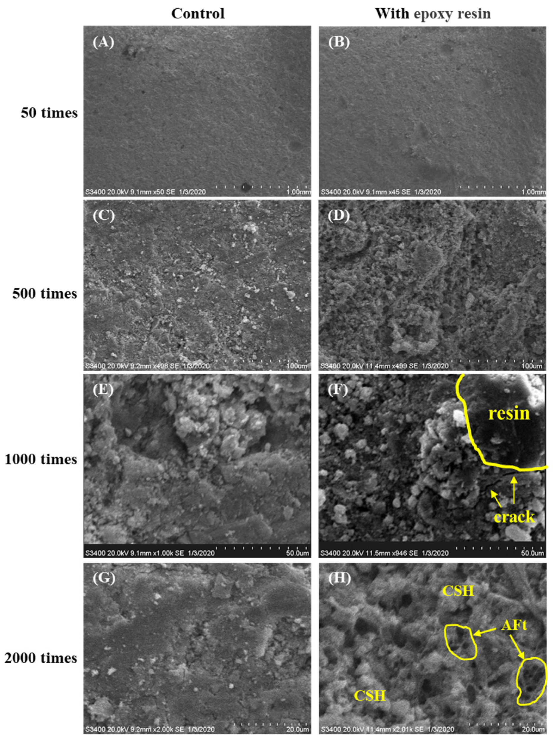 Polymers 16 02665 g012