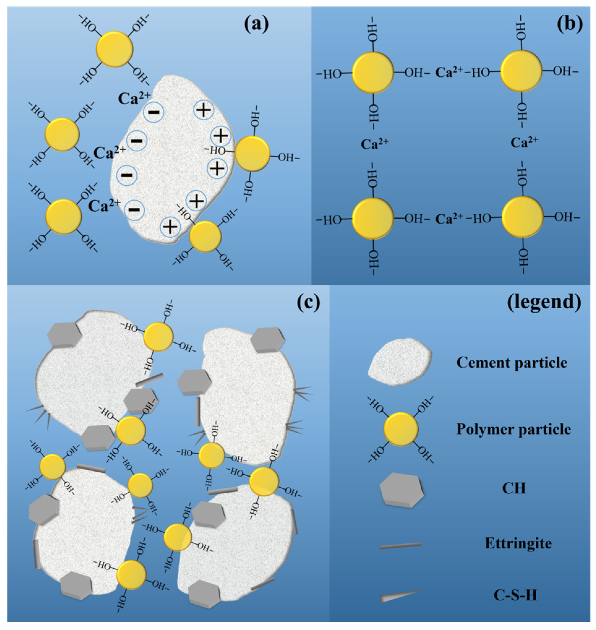 Polymers 16 02665 g017