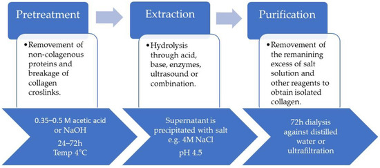 Collagen and Its Derivatives Serving Biomedical Purposes: A Review