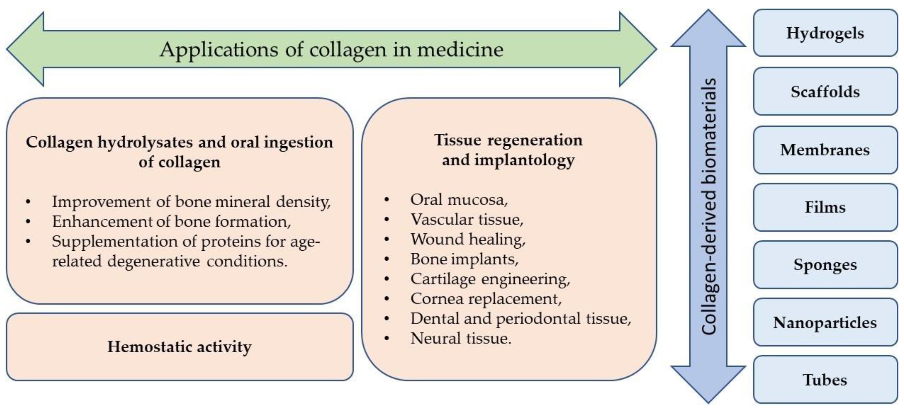 Polymers 16 02668 g003