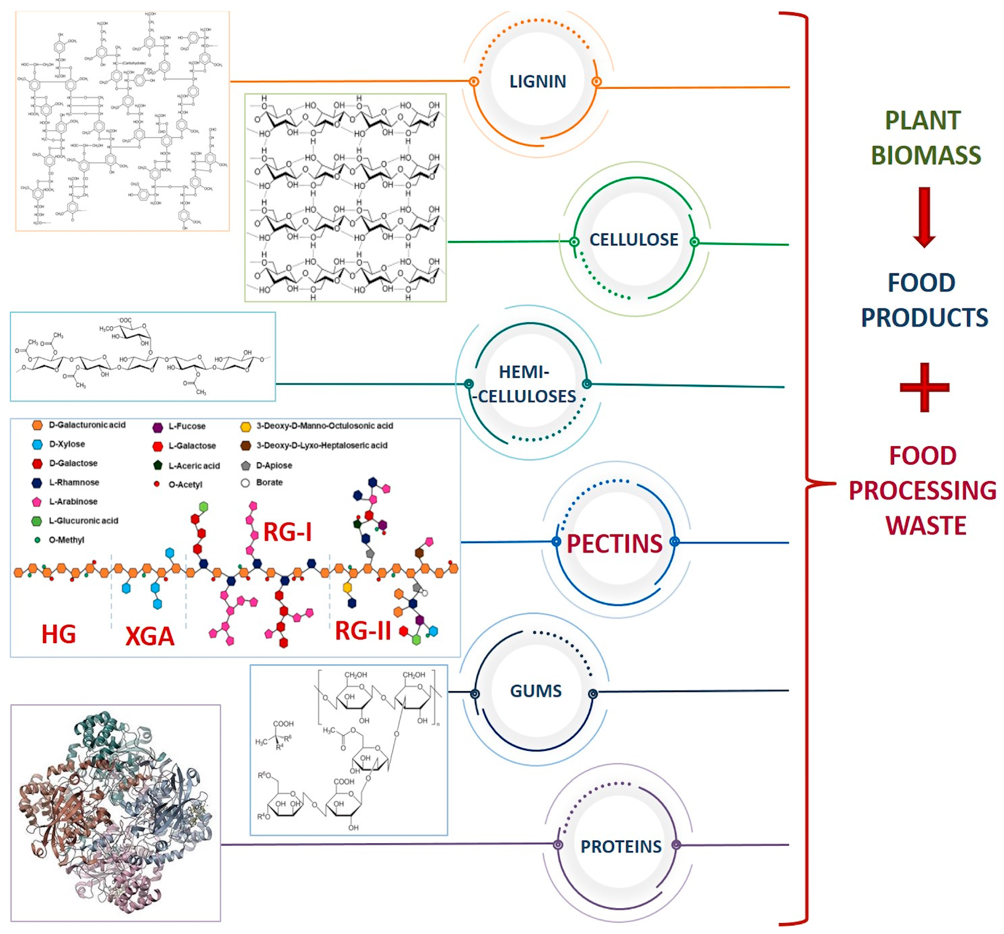 Polymers 16 02670 g001