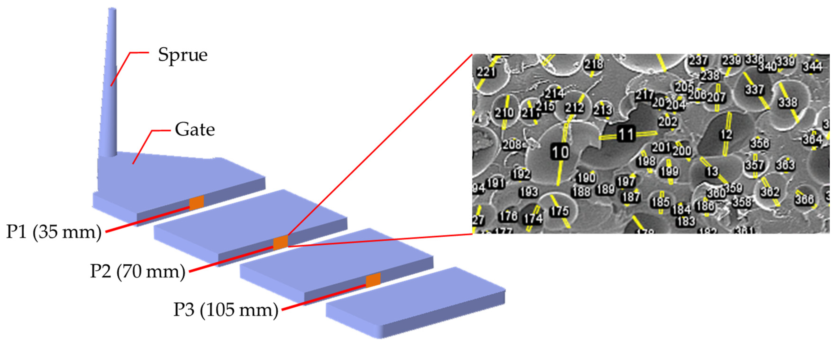 Polymers 16 02674 g002