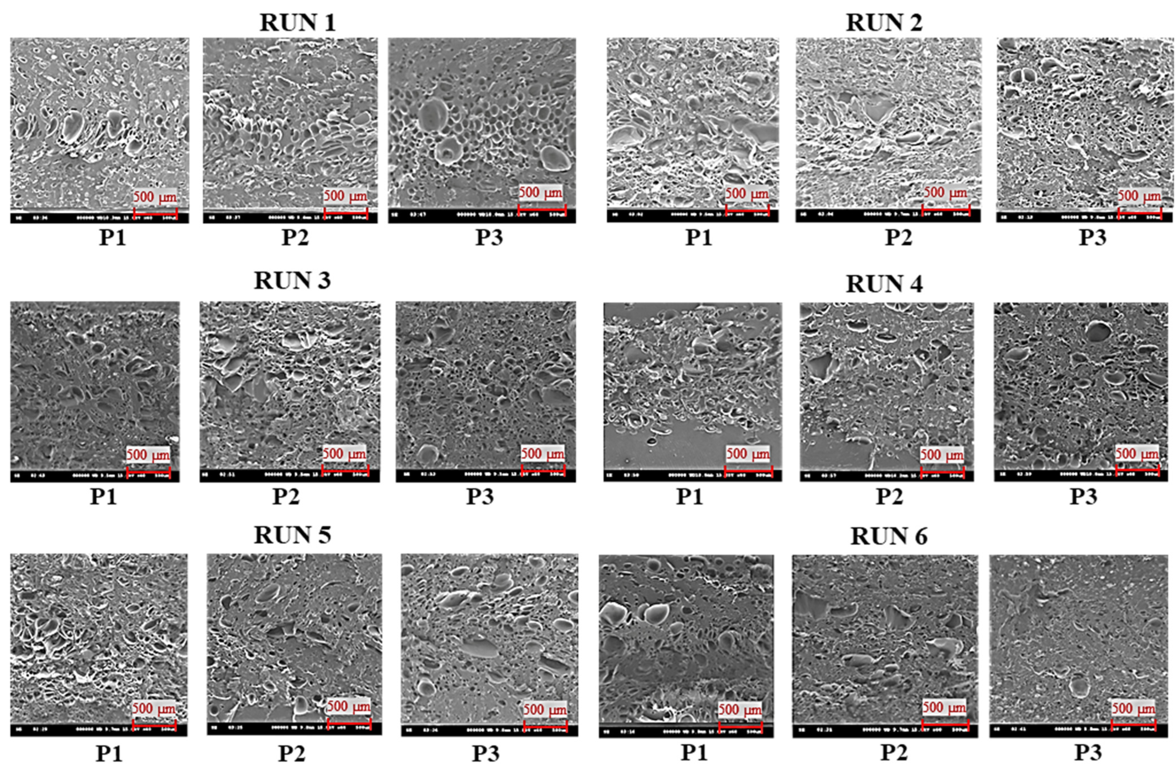 Polymers 16 02674 g009