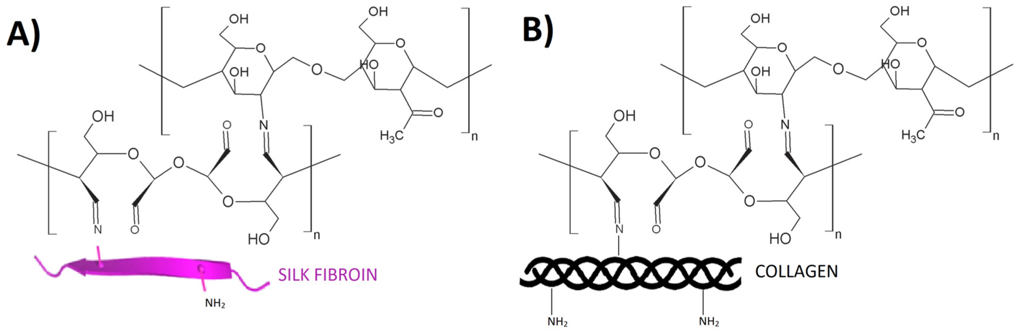 Polymers 16 02679 g006