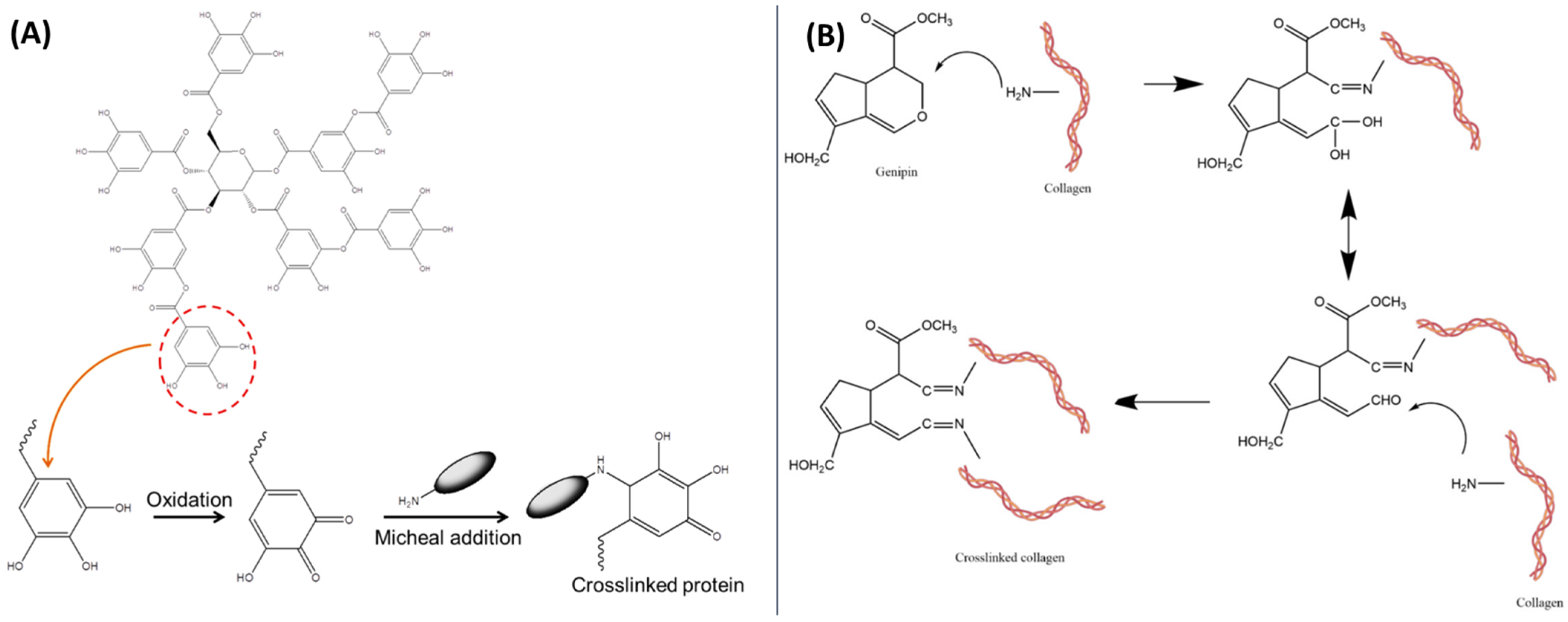 Polymers 16 02679 g011