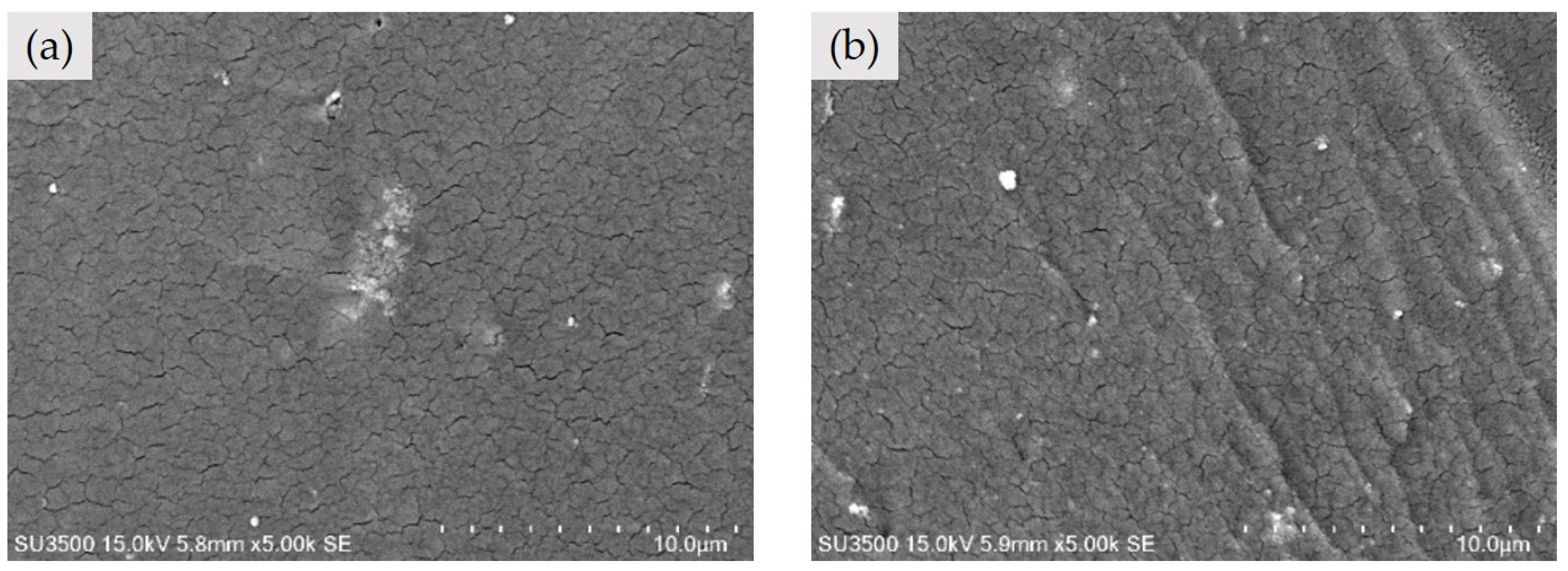 Polymers 16 02683 g005