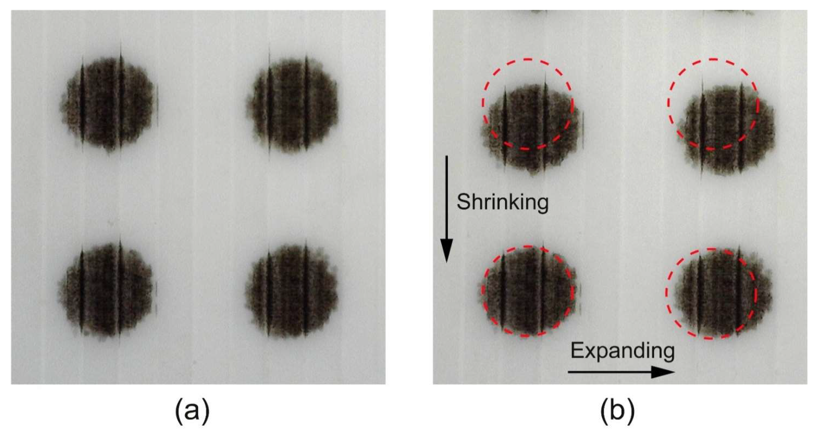 Polymers 16 02685 g011