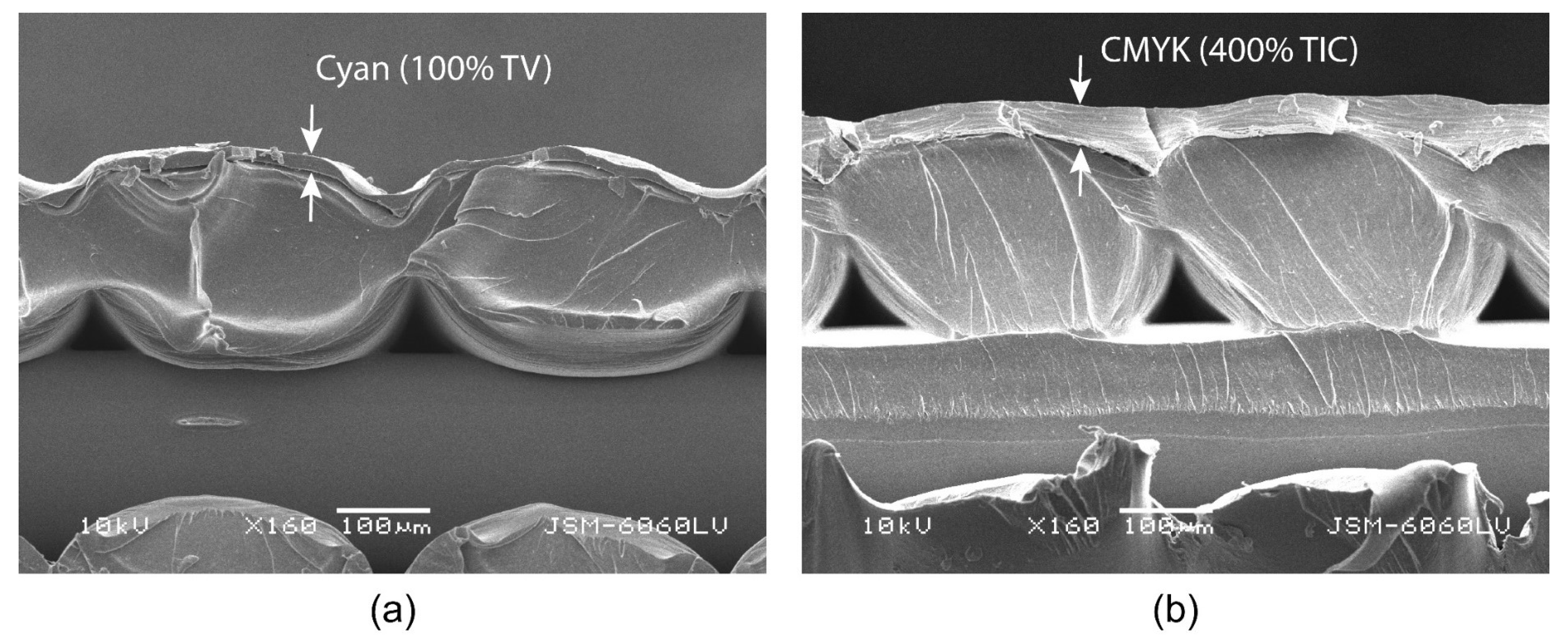 Polymers 16 02685 g012