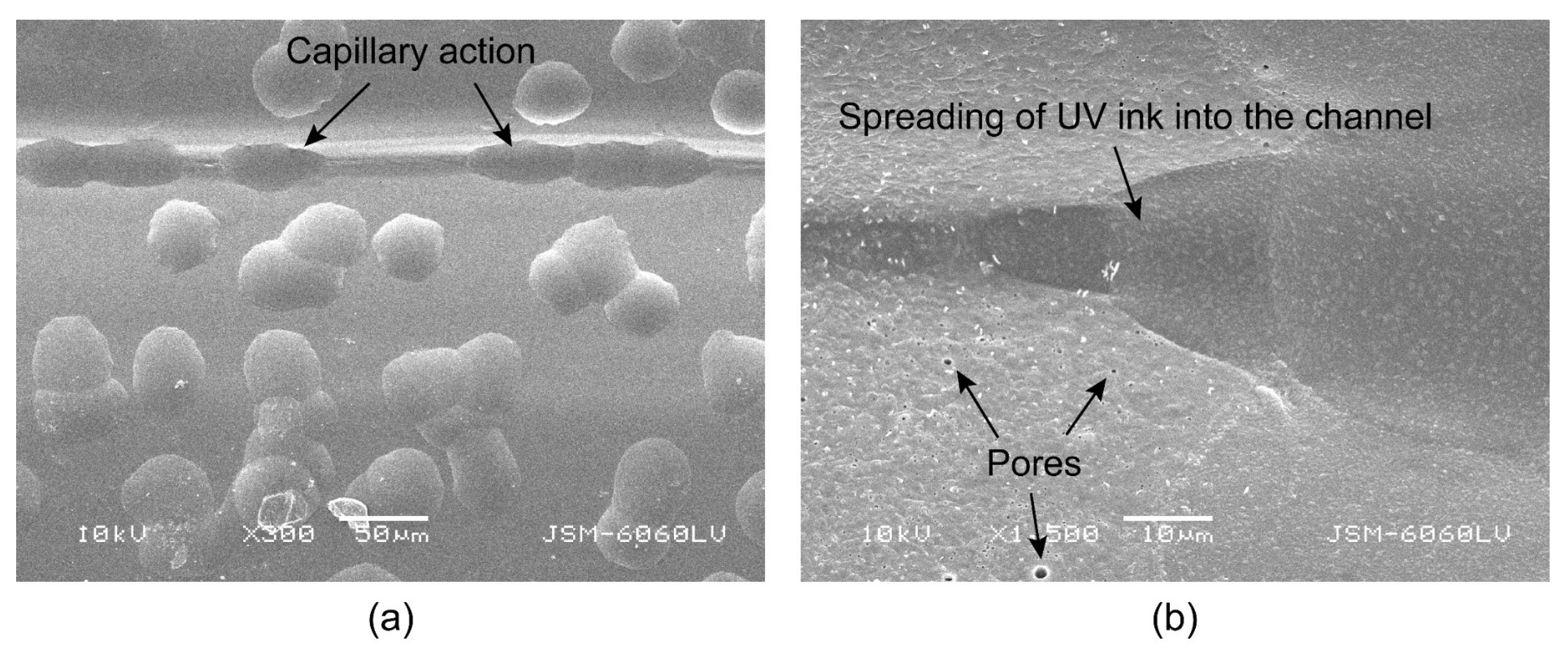 Polymers 16 02685 g013