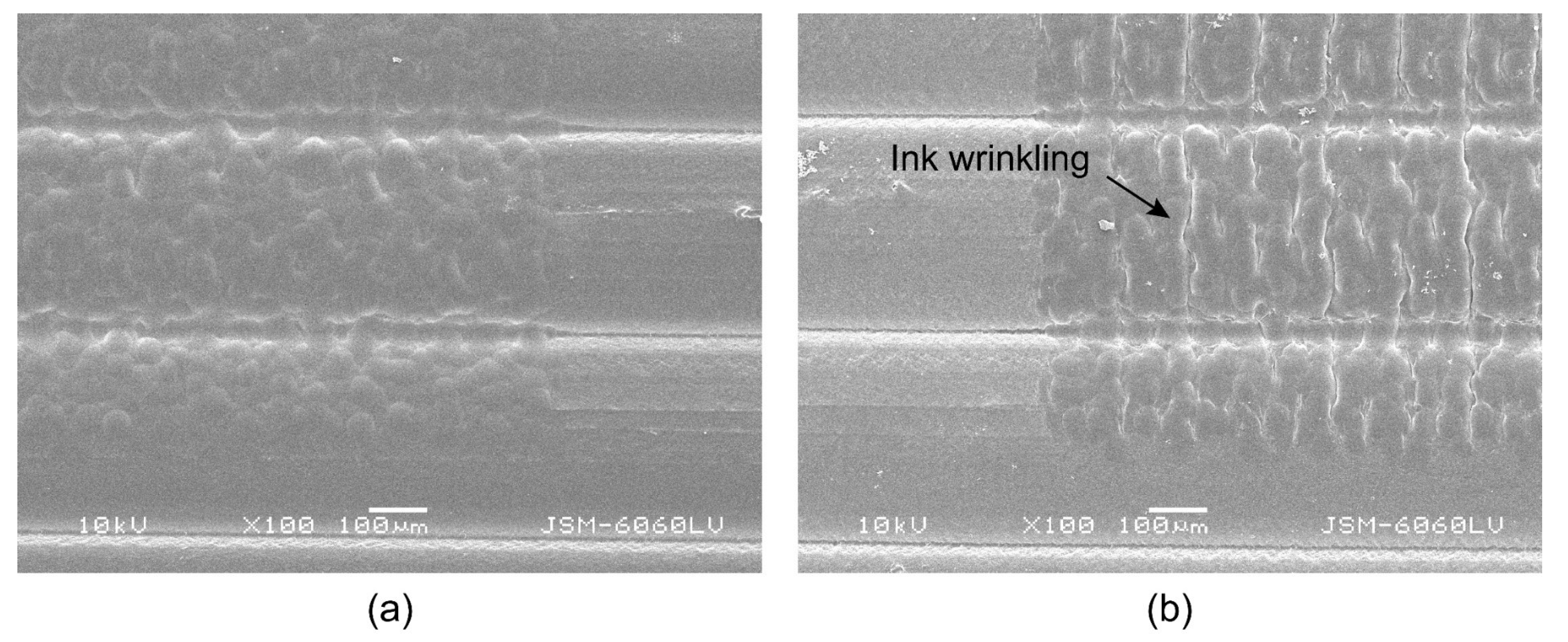 Polymers 16 02685 g014