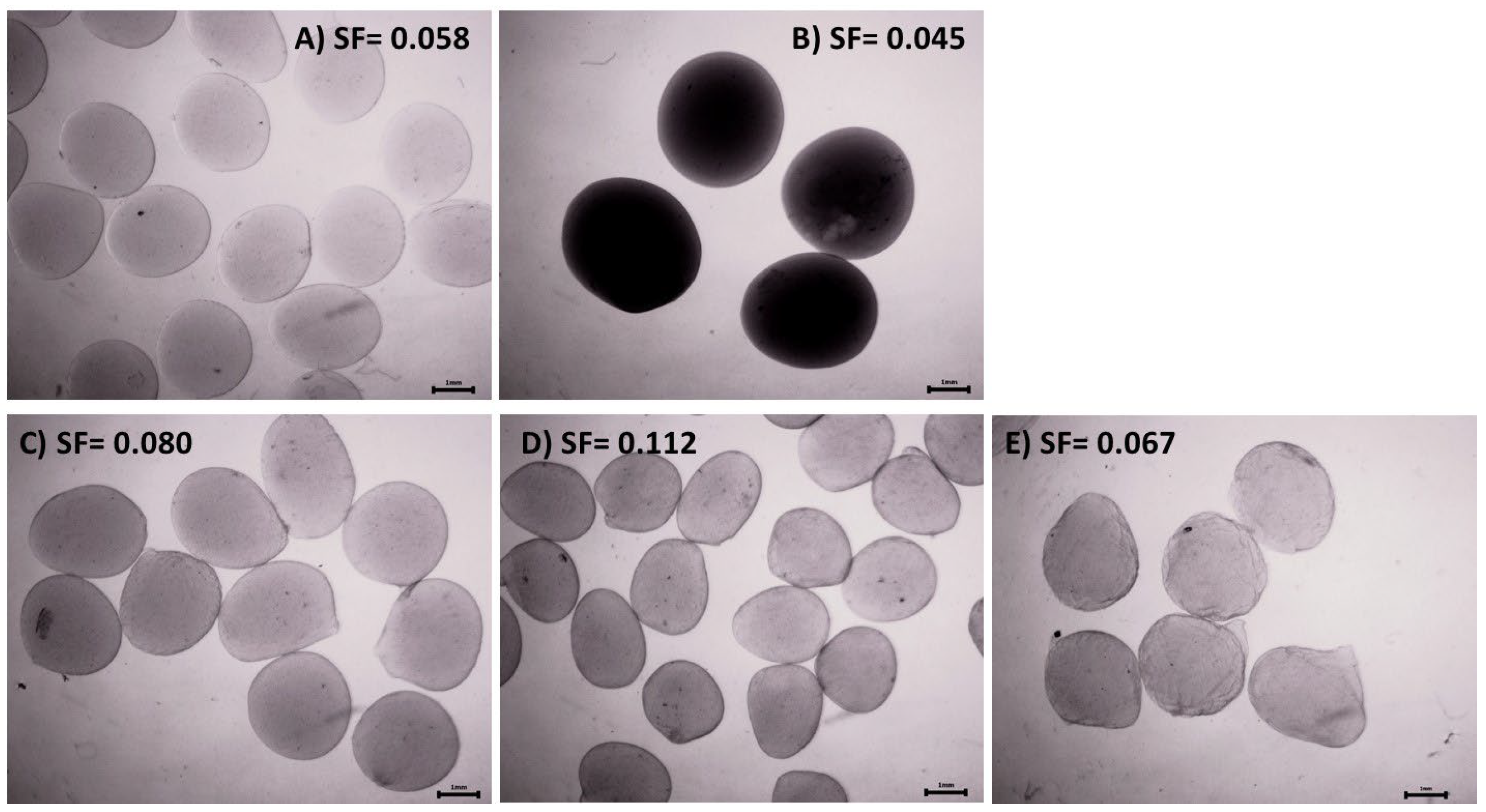 Polymers 16 02691 g001