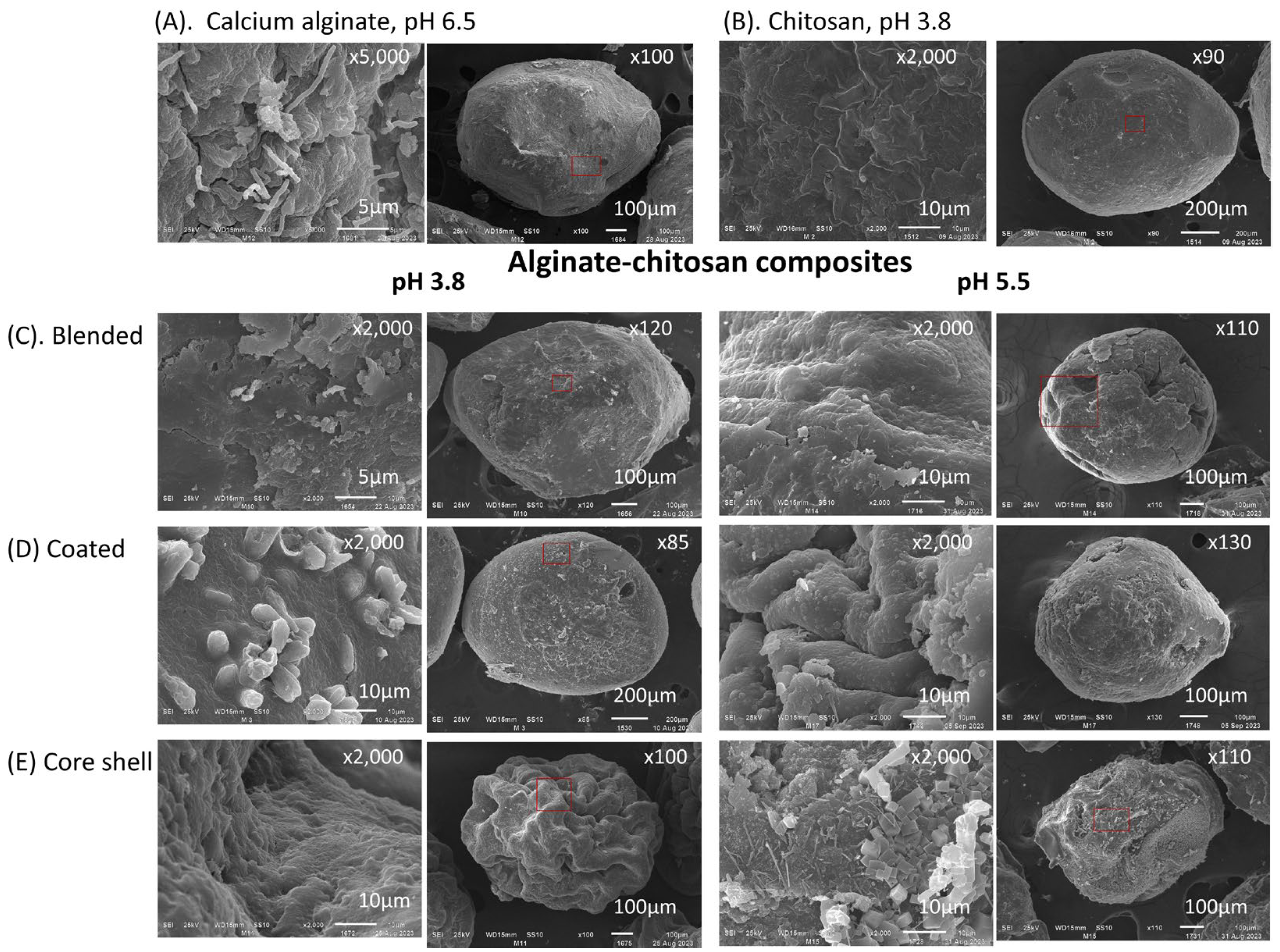 Polymers 16 02691 g004