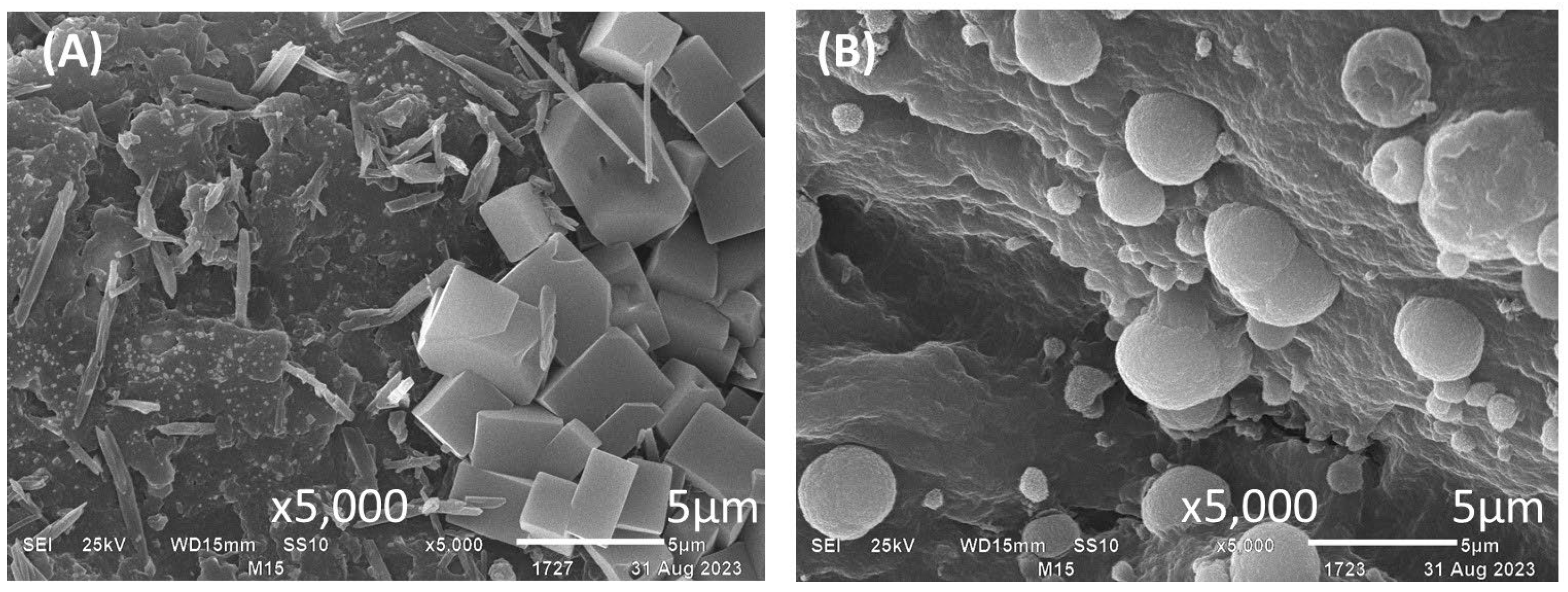 Polymers 16 02691 g006