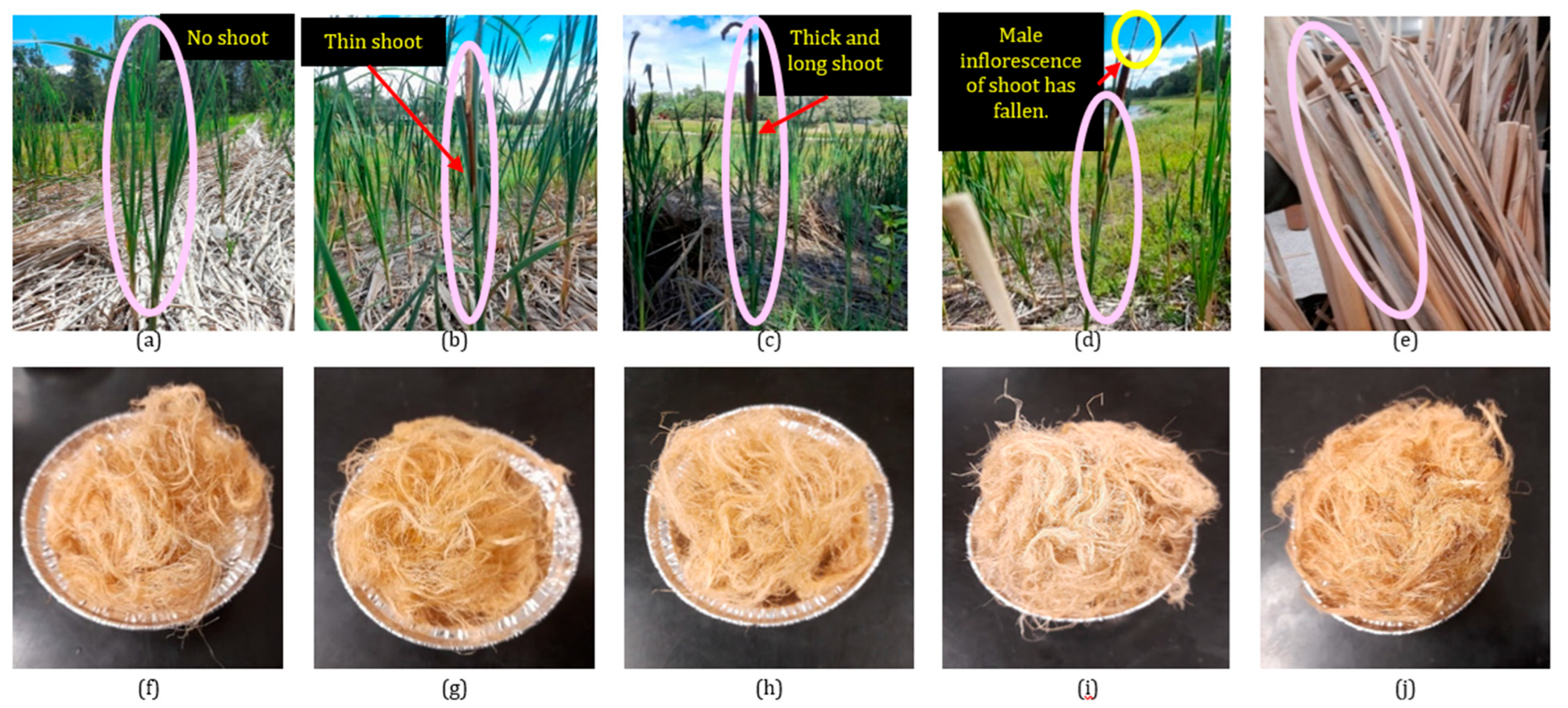 Polymers 16 02692 g001 Polymers 16 02692 g001