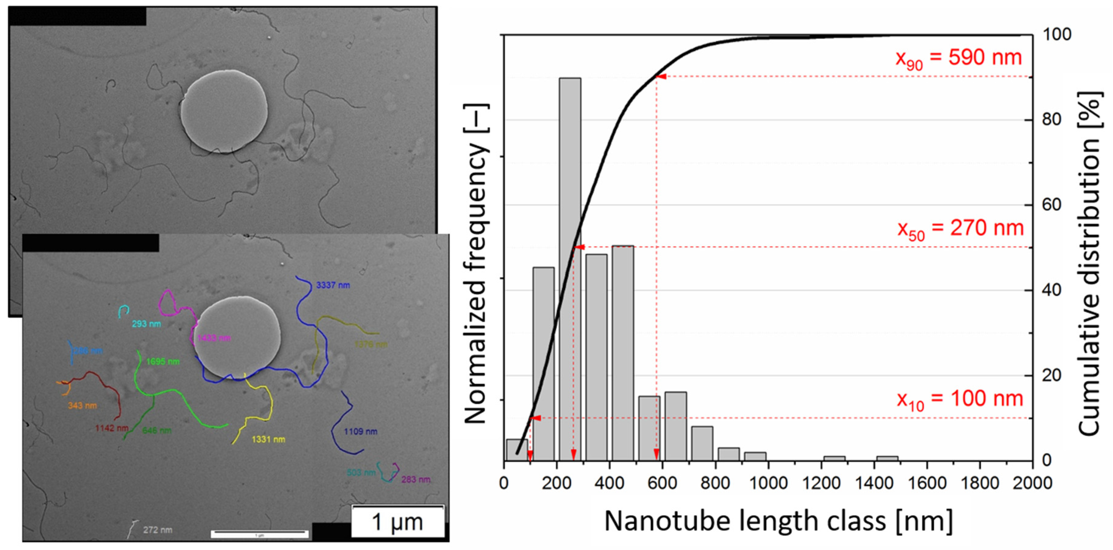 Polymers 16 02694 g001