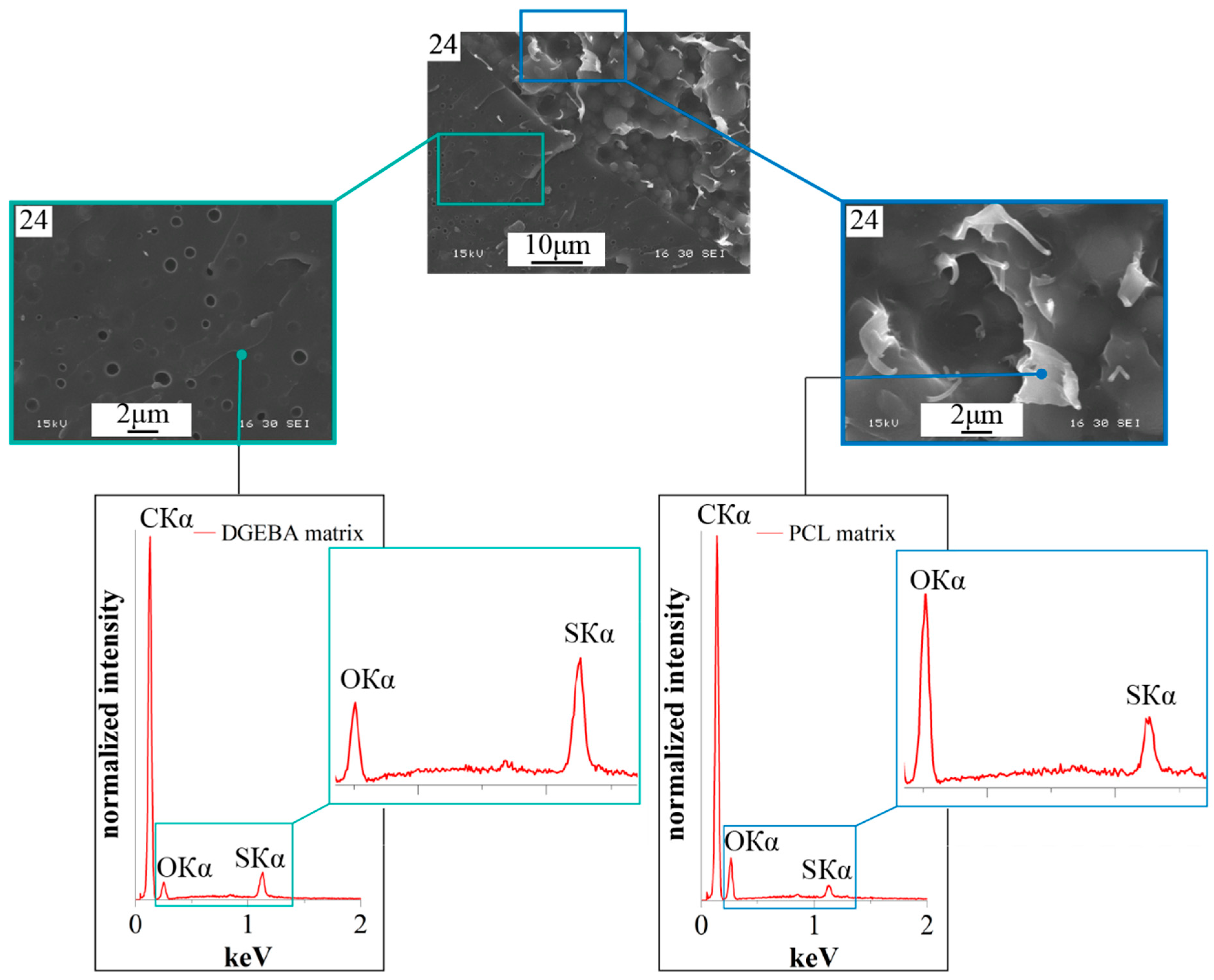 Polymers 16 02695 g012