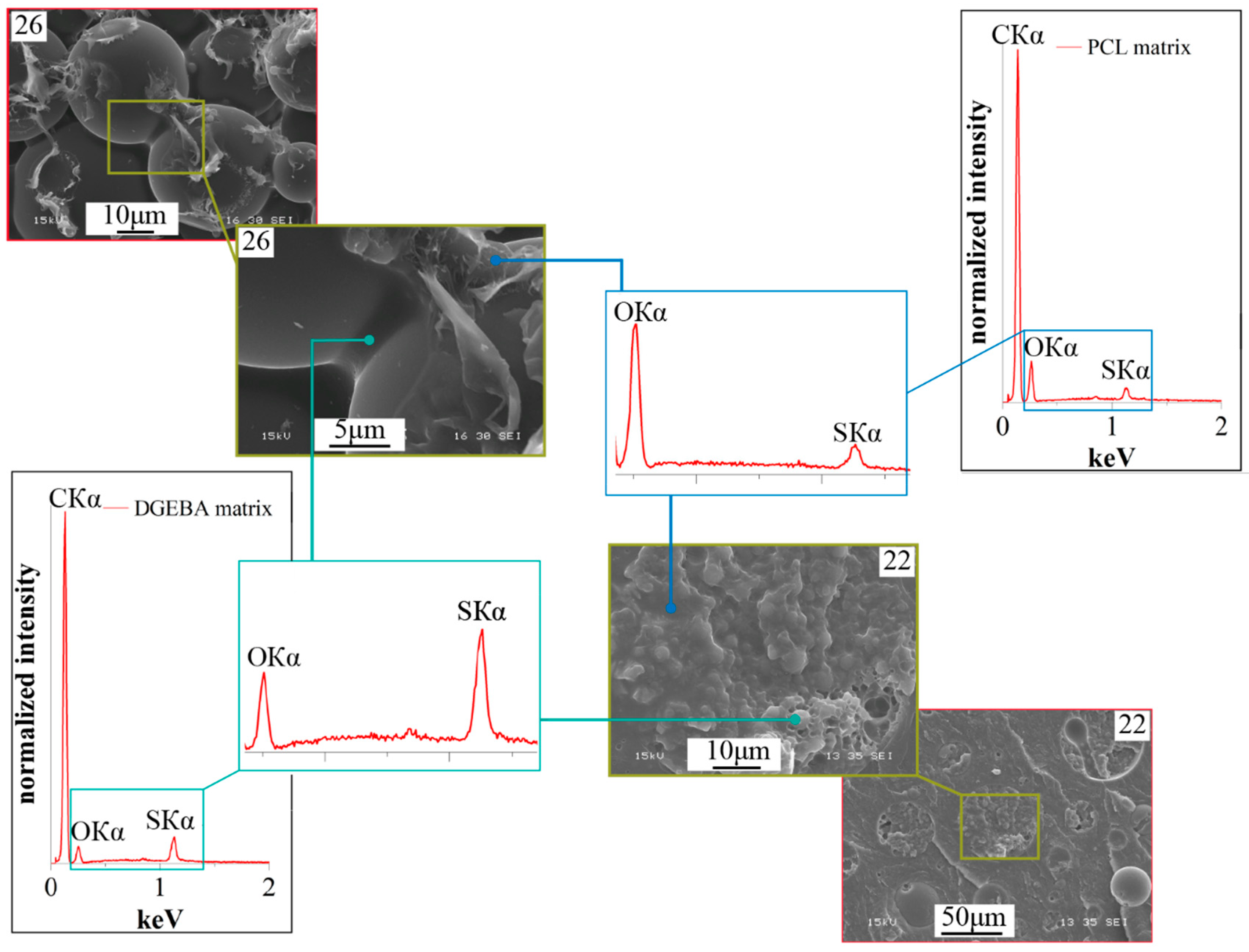 Polymers 16 02695 g017