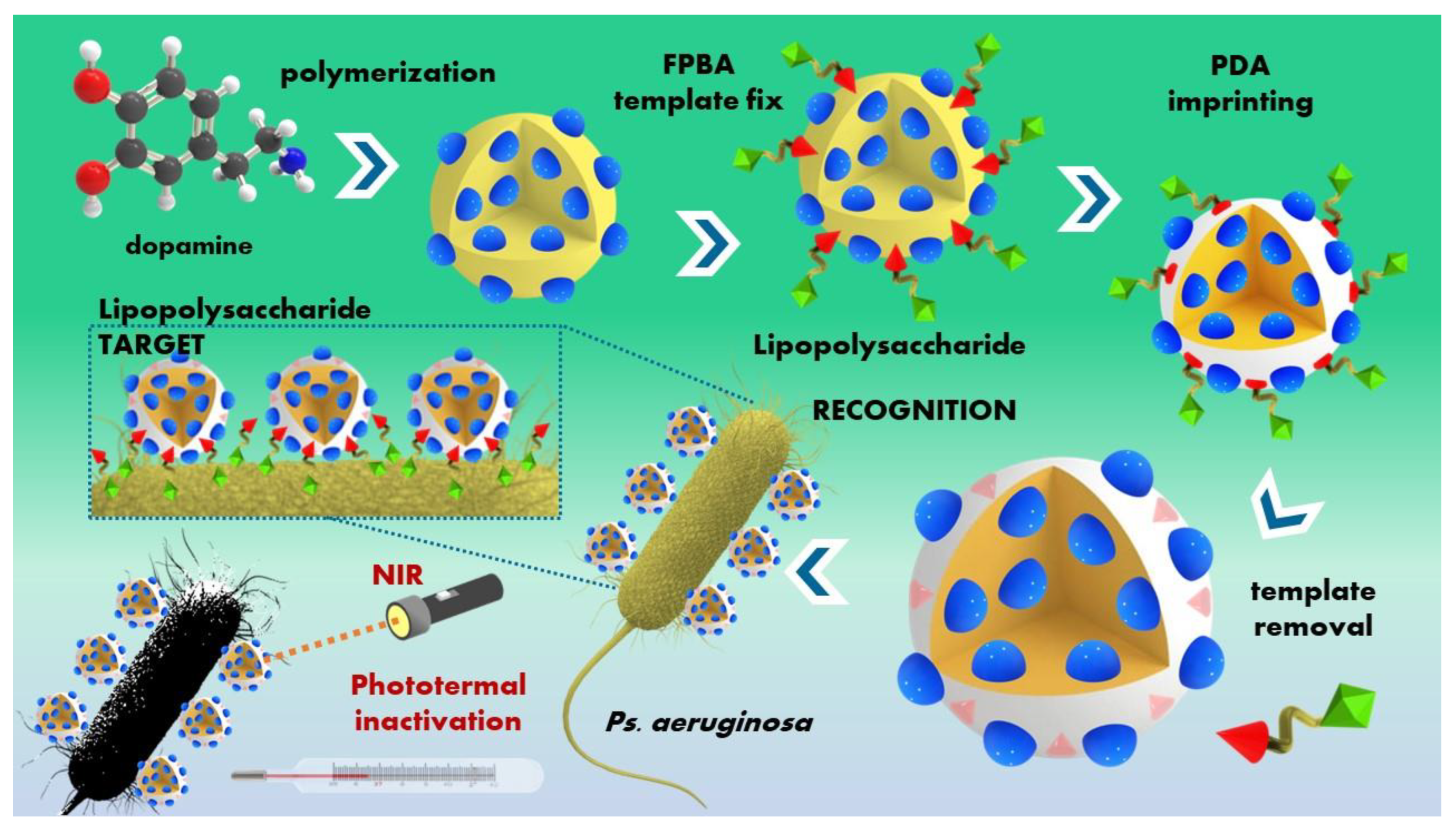 Polymers 16 02699 g007