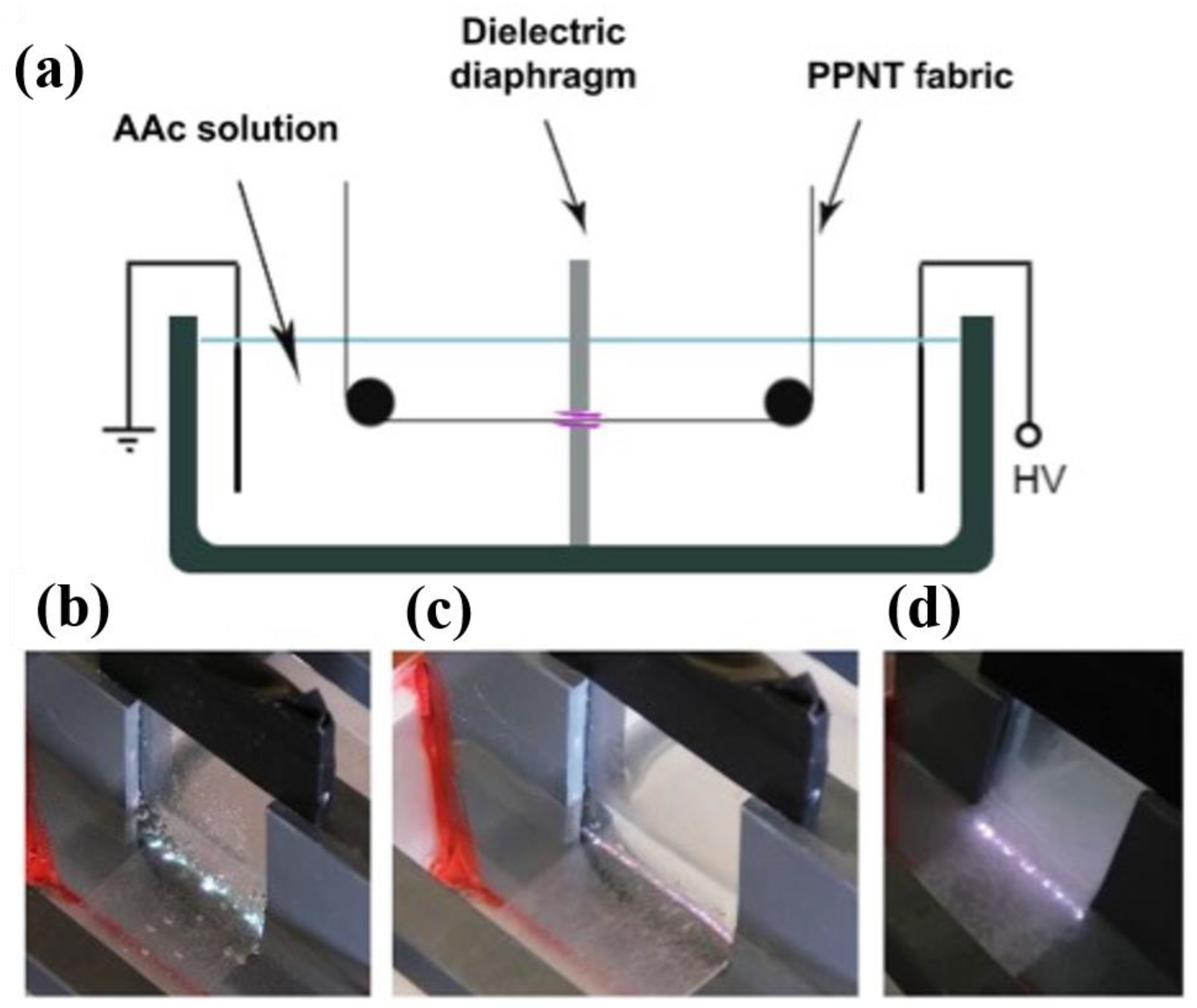 Polymers 16 02701 g006