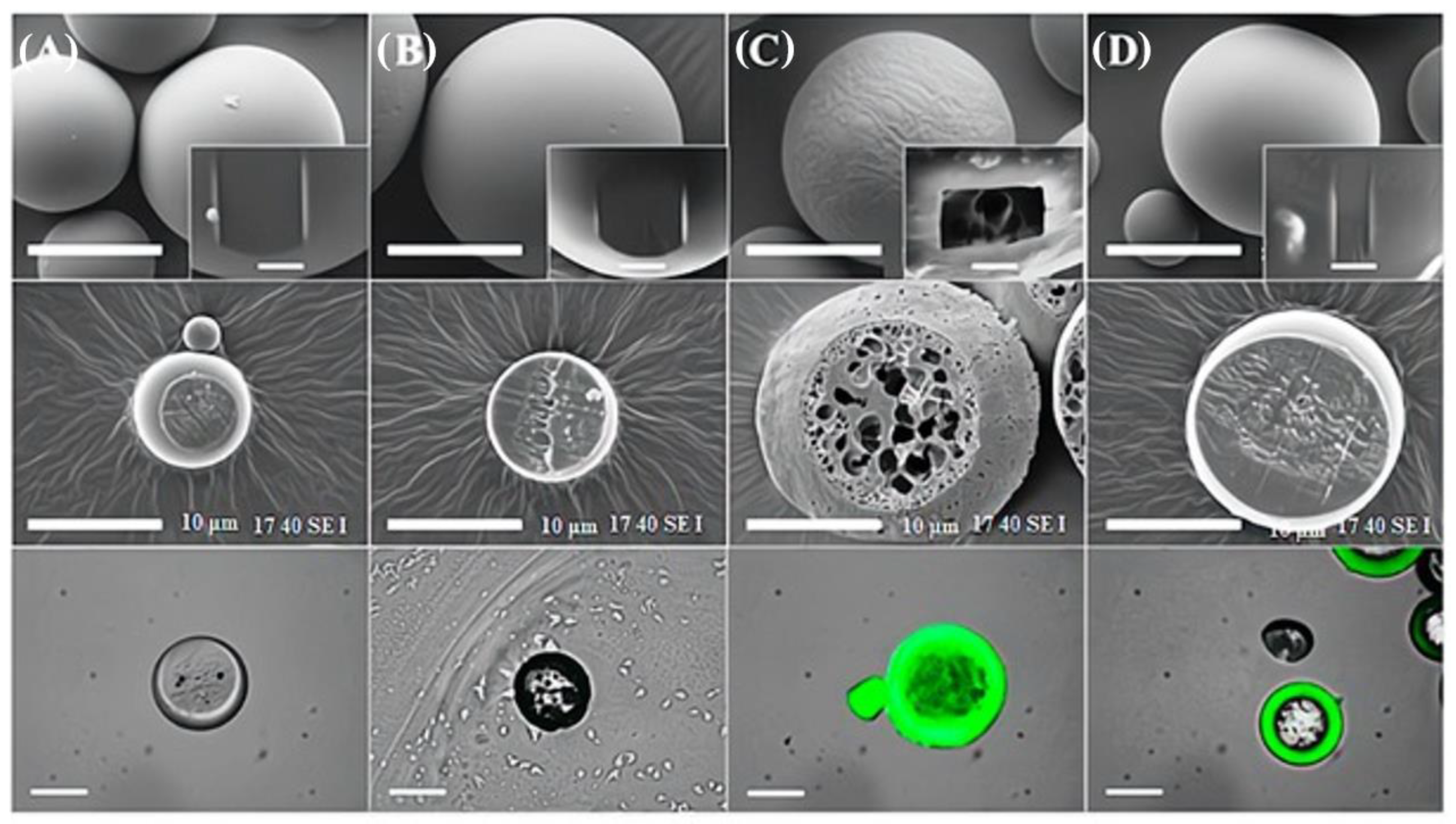 Polymers 16 02701 g009
