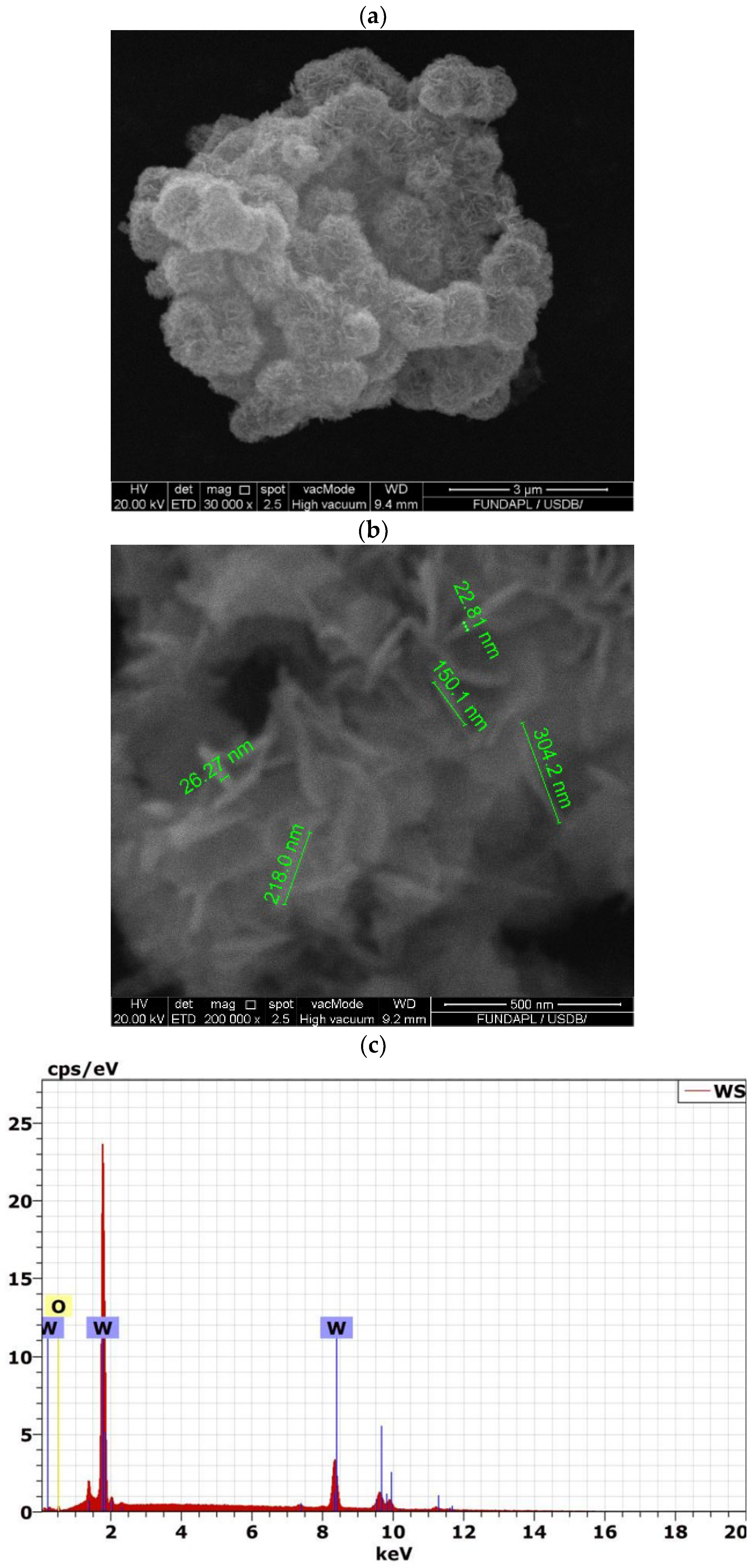 Polymers 16 02702 g002
