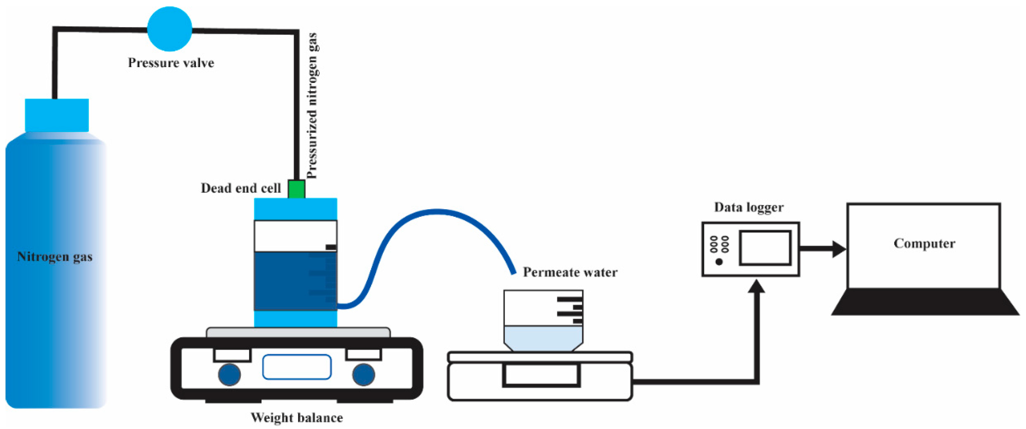 Polymers 16 02703 g002