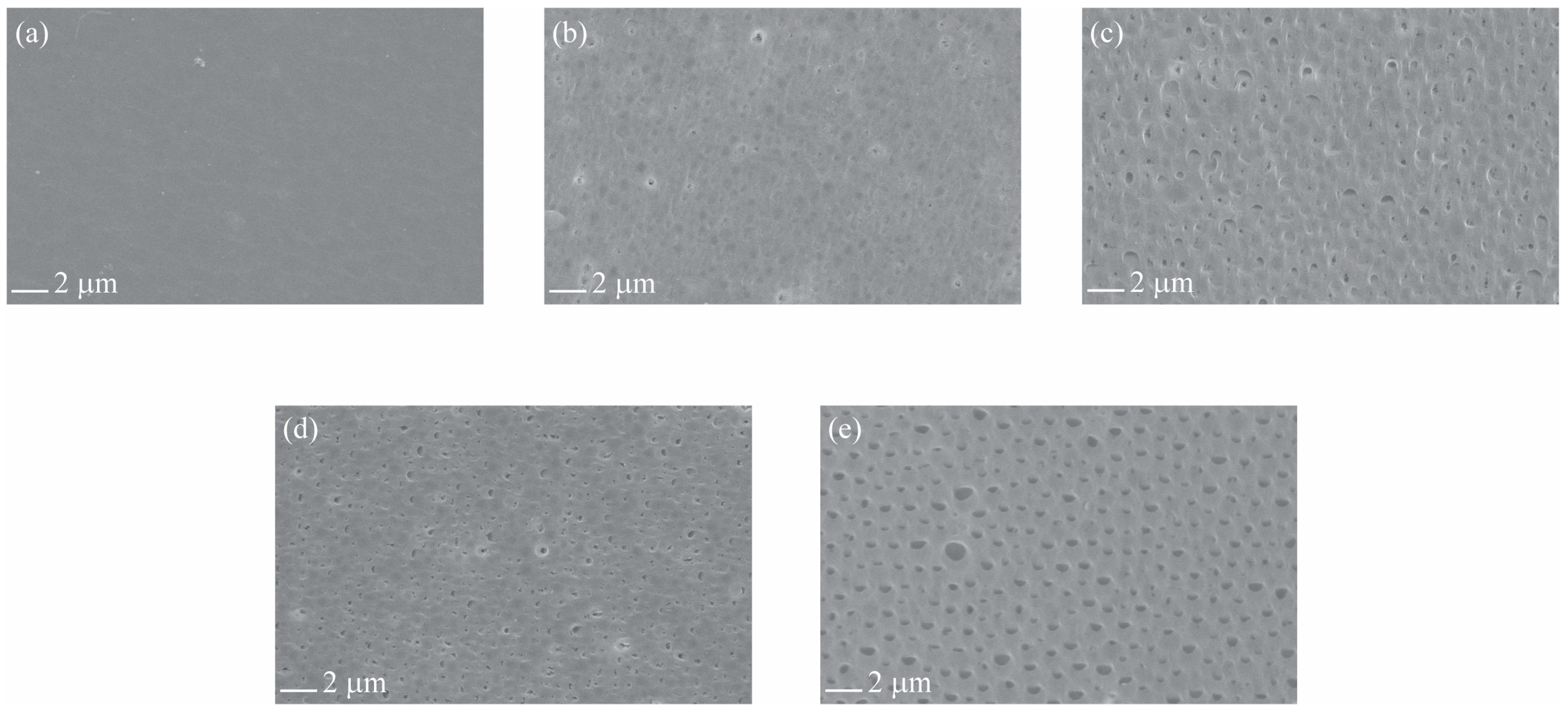 Polymers 16 02703 g003