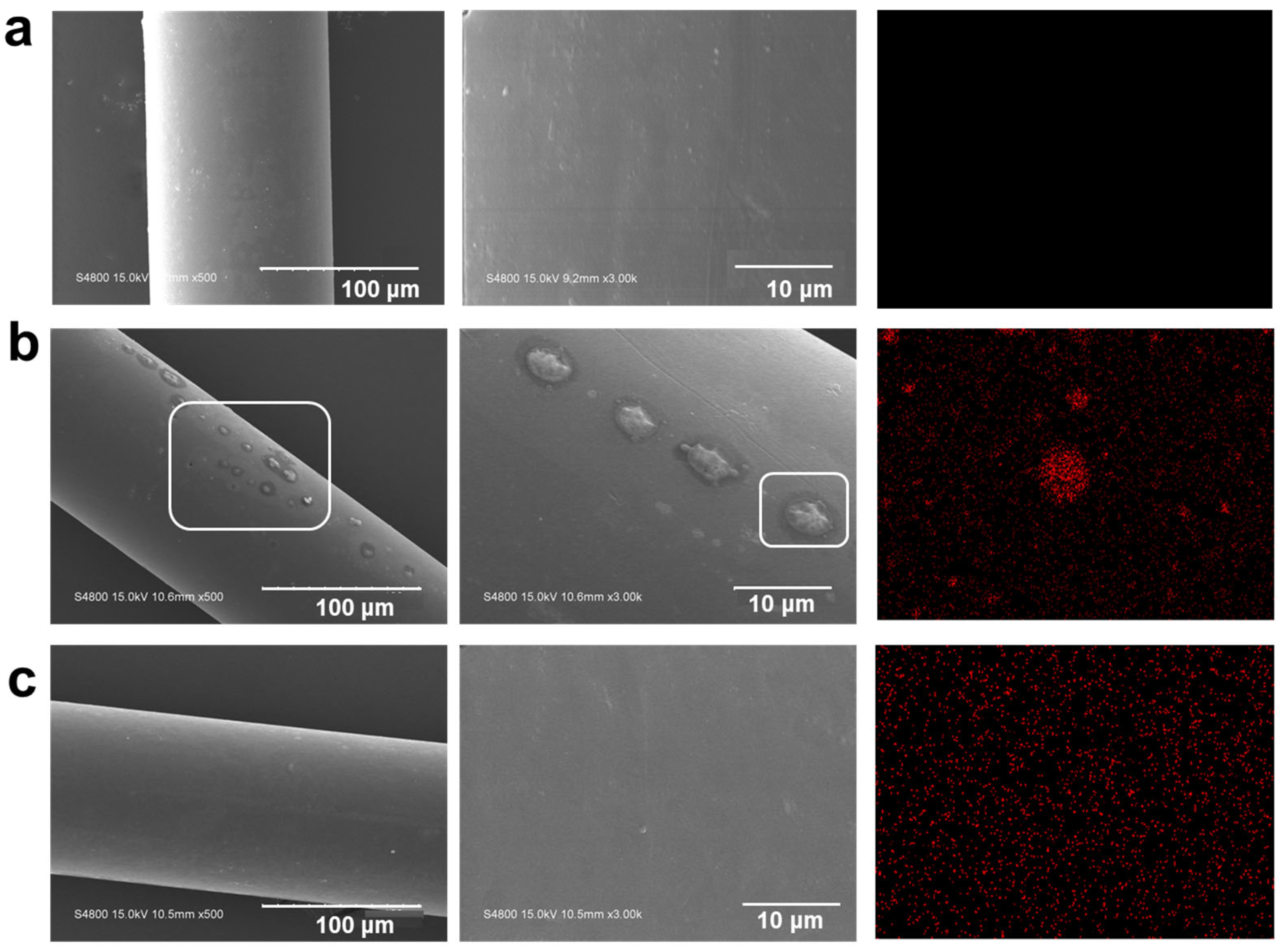 Polymers 16 02707 g004 Polymers 16 02707 g004