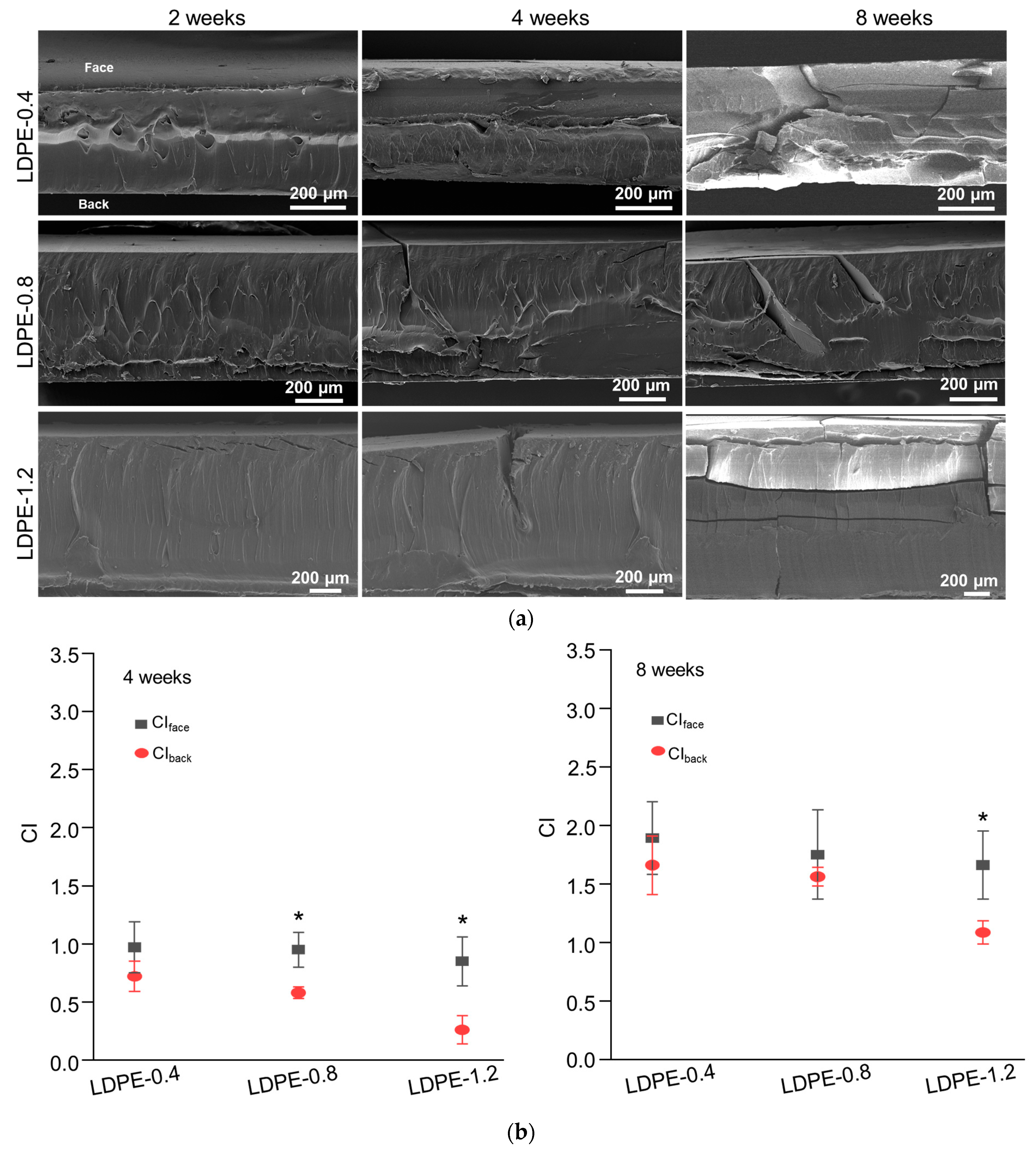 Polymers 16 02709 g002a