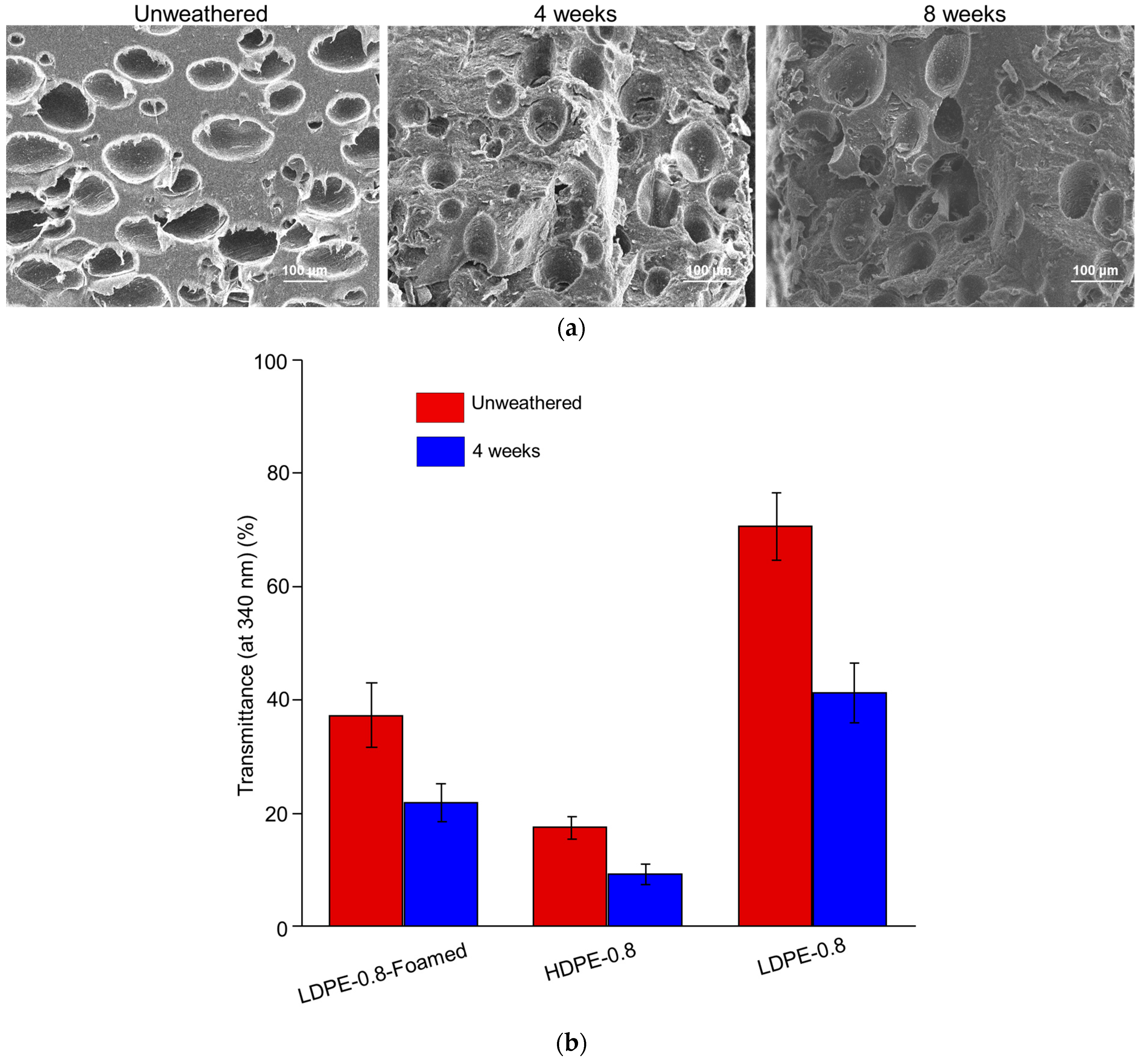 Polymers 16 02709 g004a
