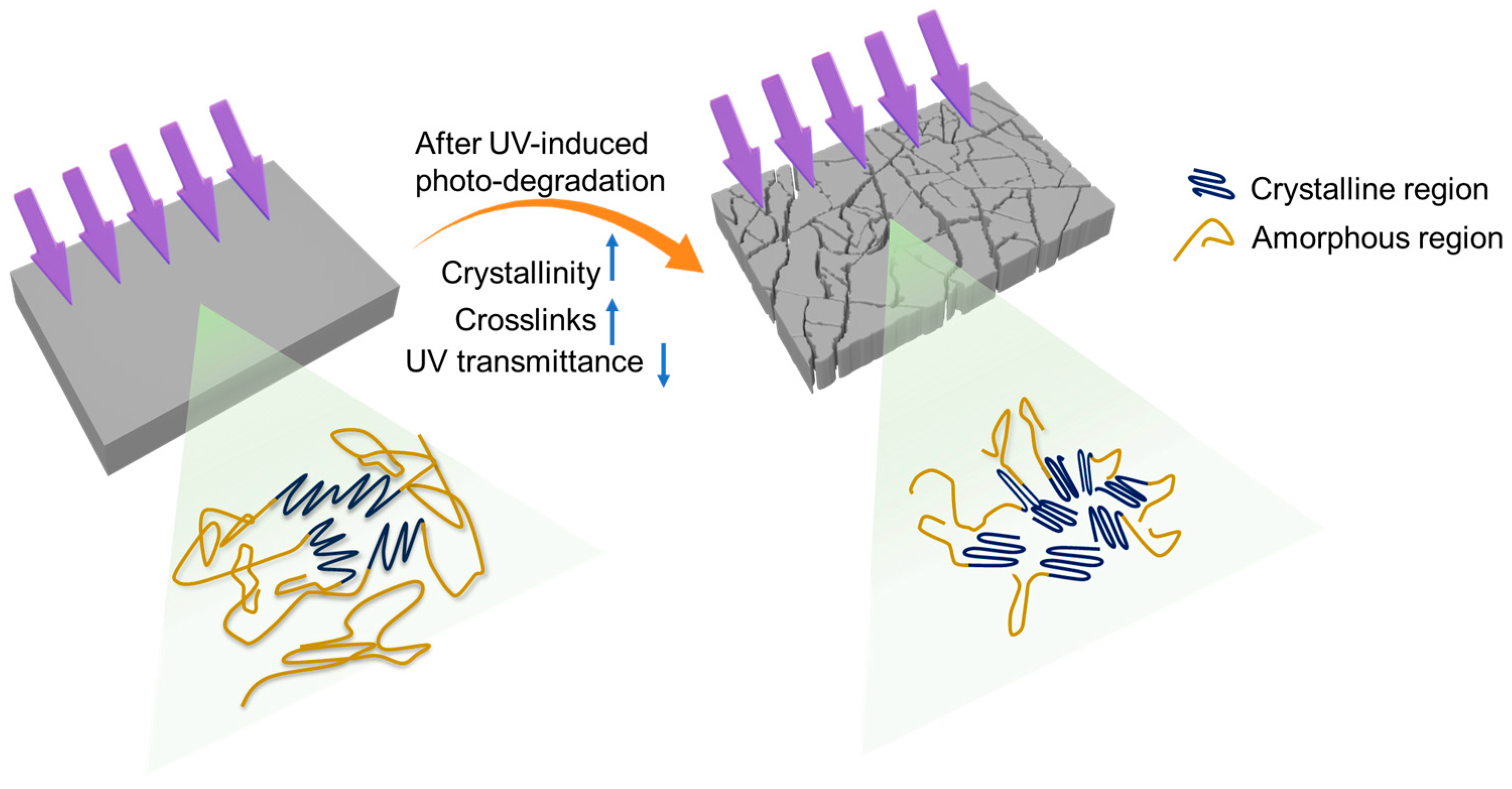 Polymers 16 02709 g005