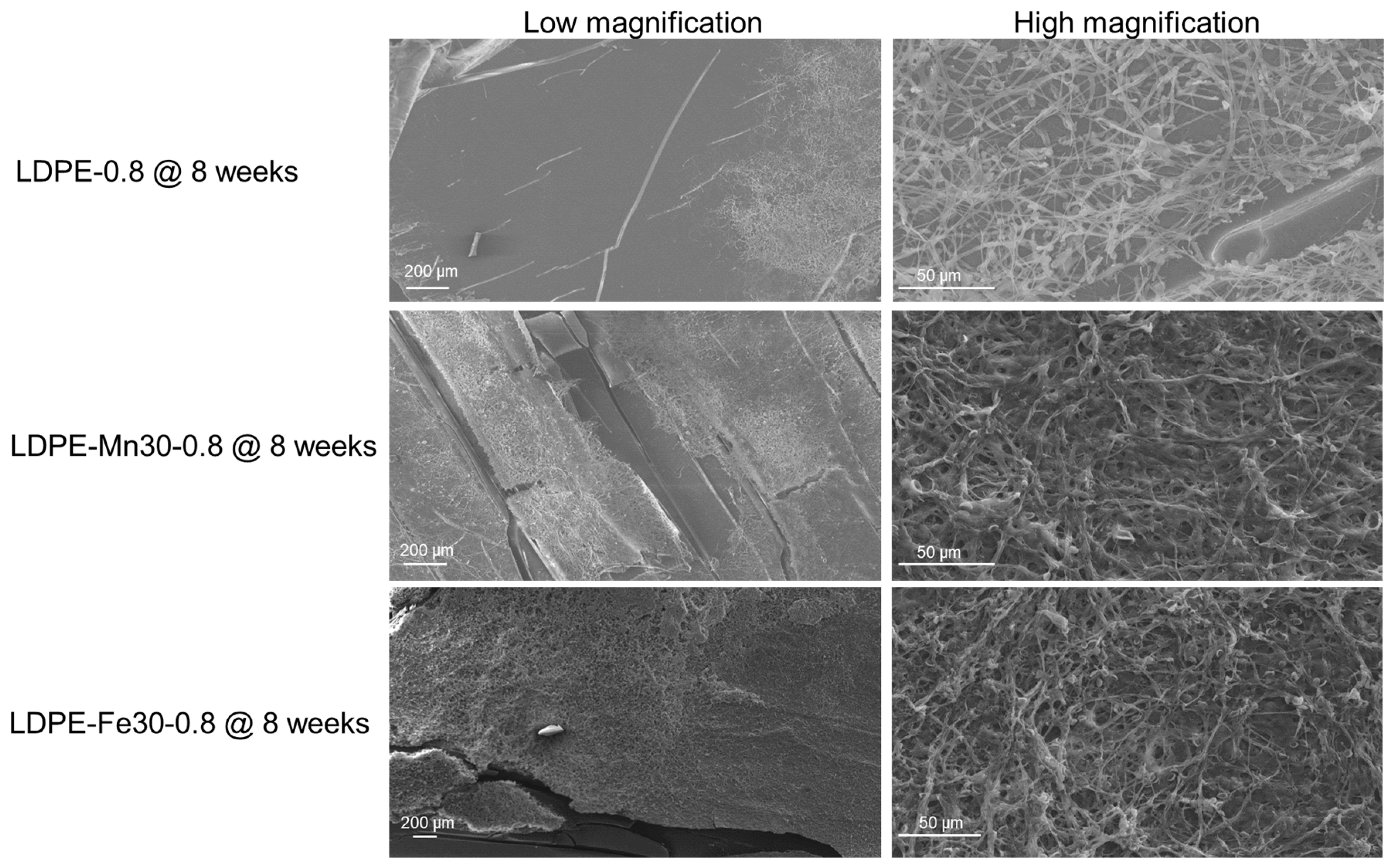 Polymers 16 02709 g006