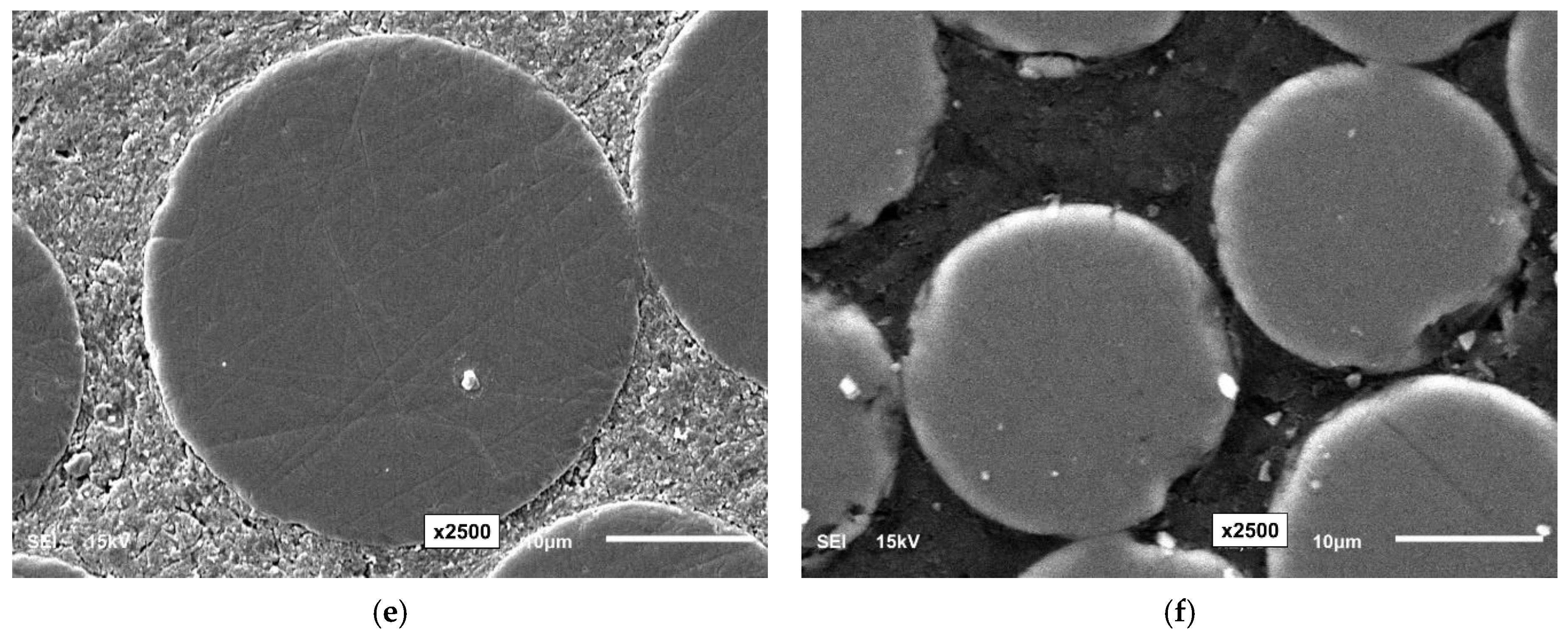 Polymers 16 02712 g002b