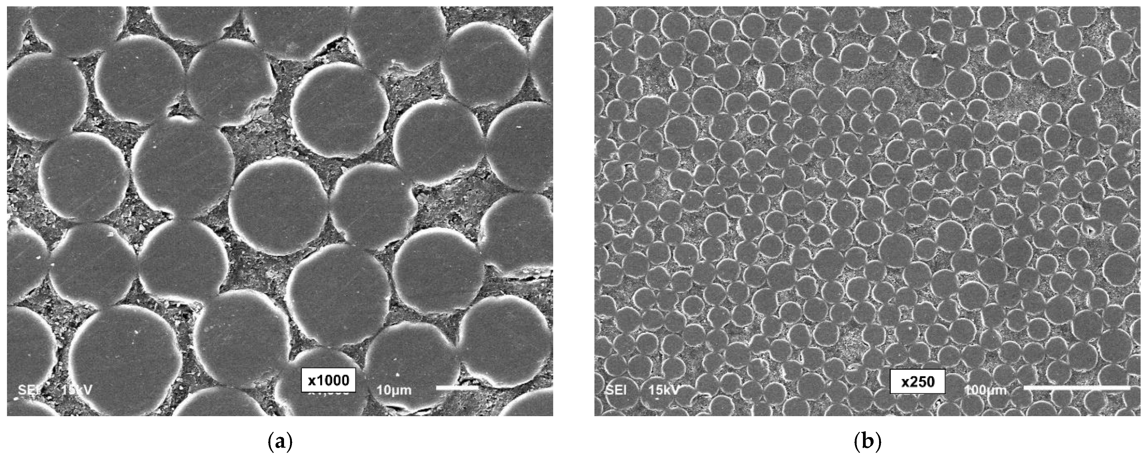 Polymers 16 02712 g014a