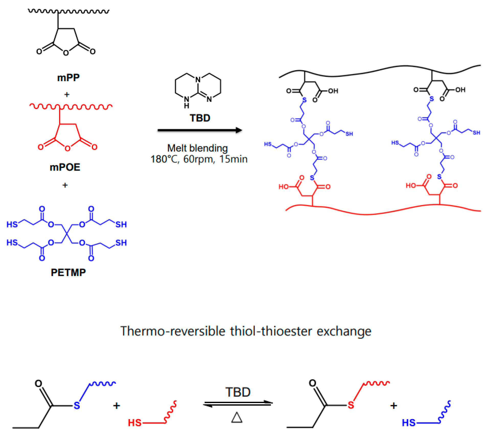 Polymers 16 02714 g002