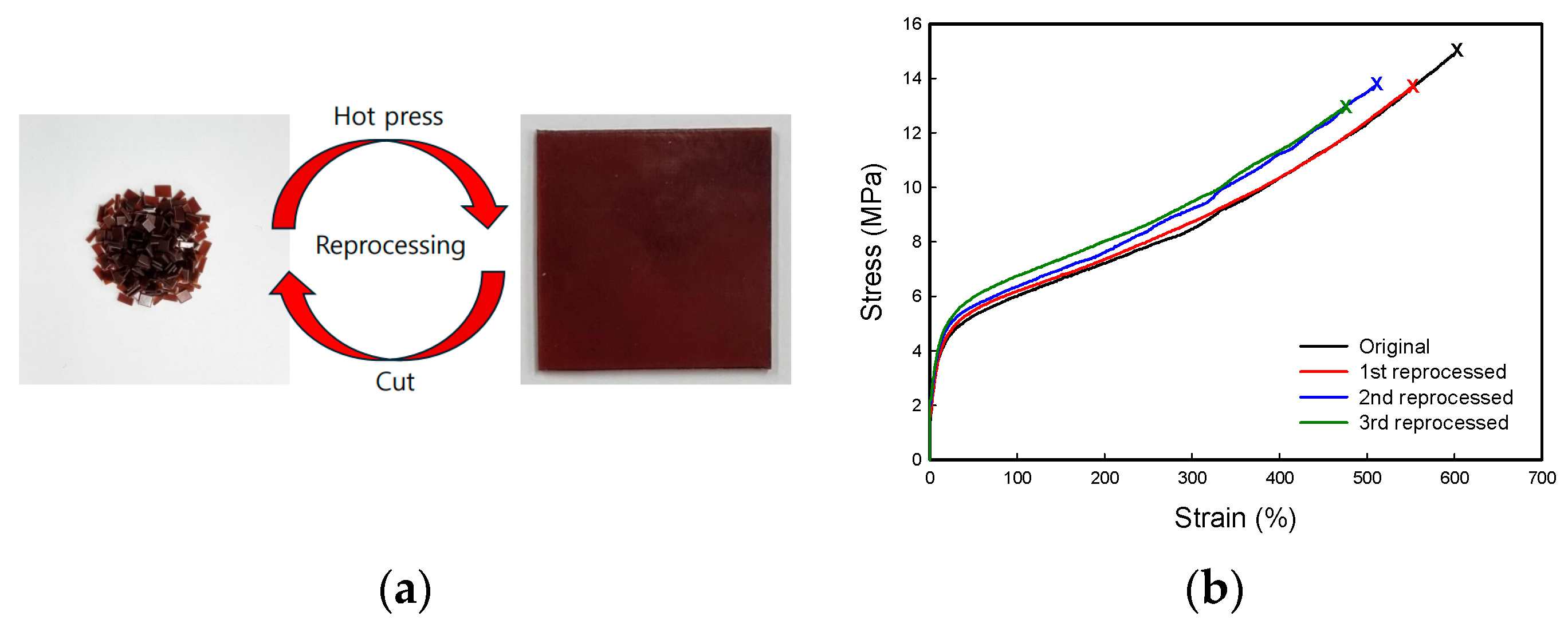Polymers 16 02714 g006