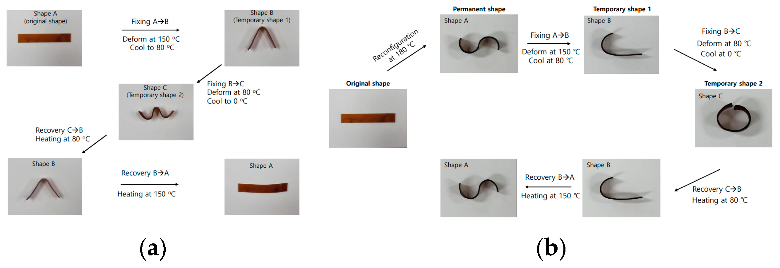 Polymers 16 02714 g009