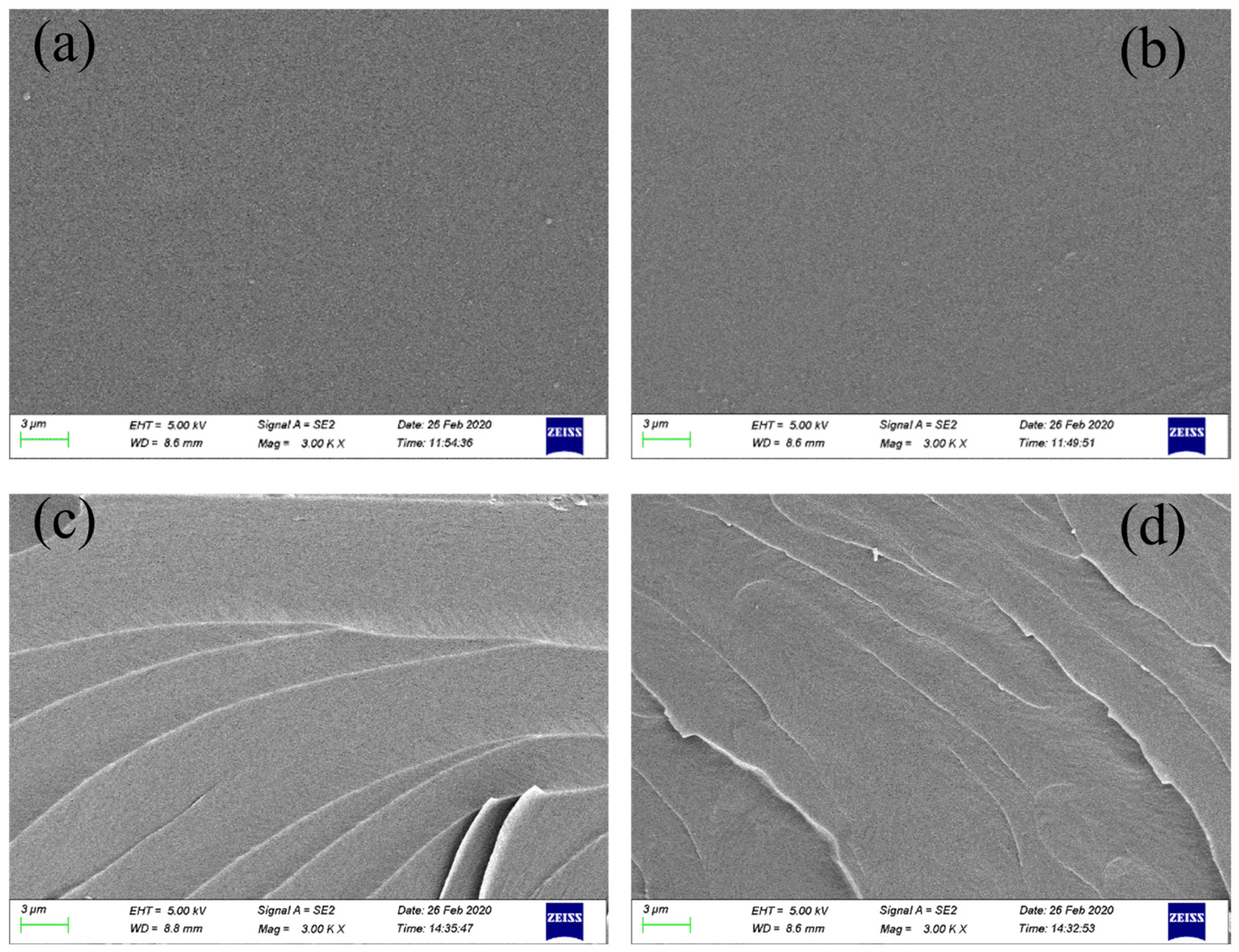 Polymers 16 02716 g005