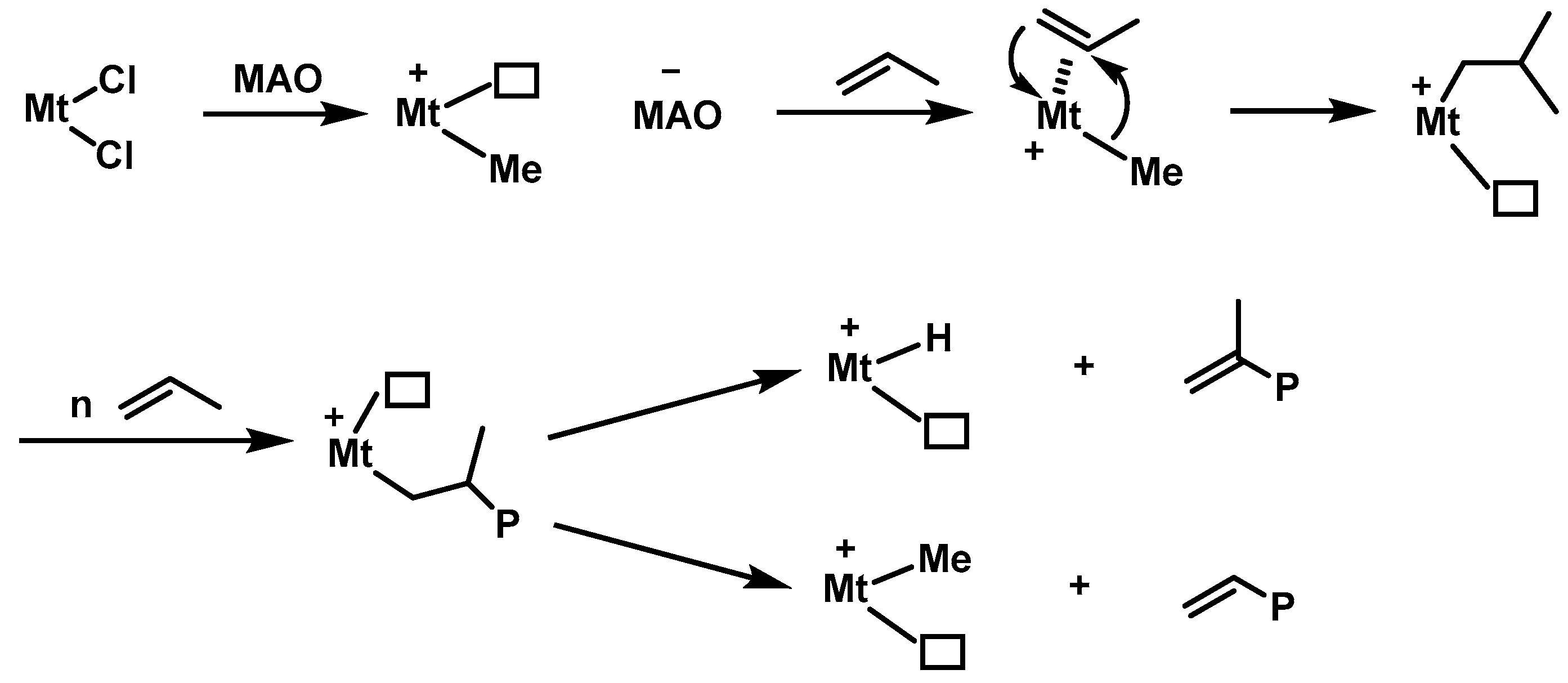 Polymers 16 02717 g002