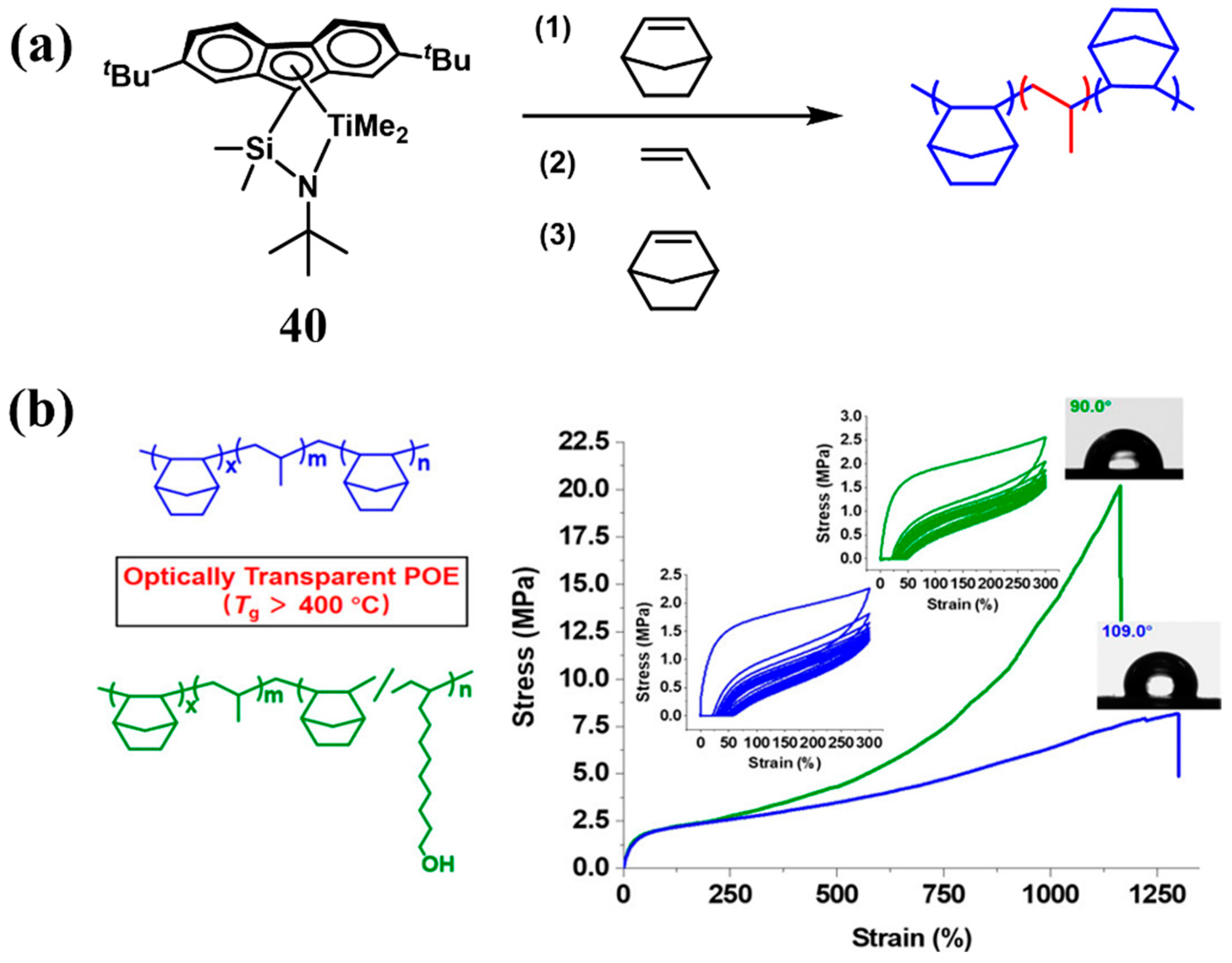 Polymers 16 02717 g015