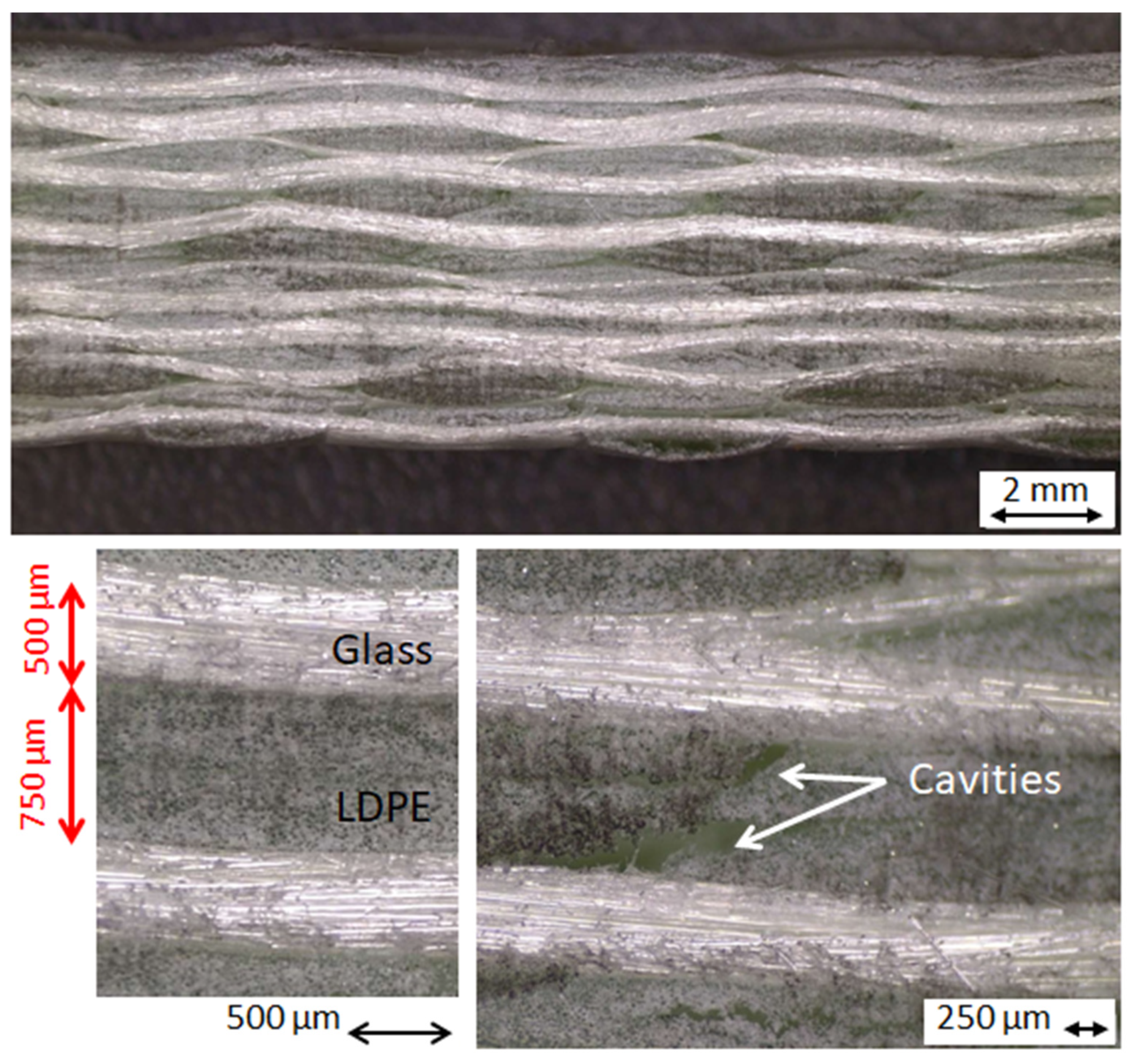 Polymers 16 02722 g008