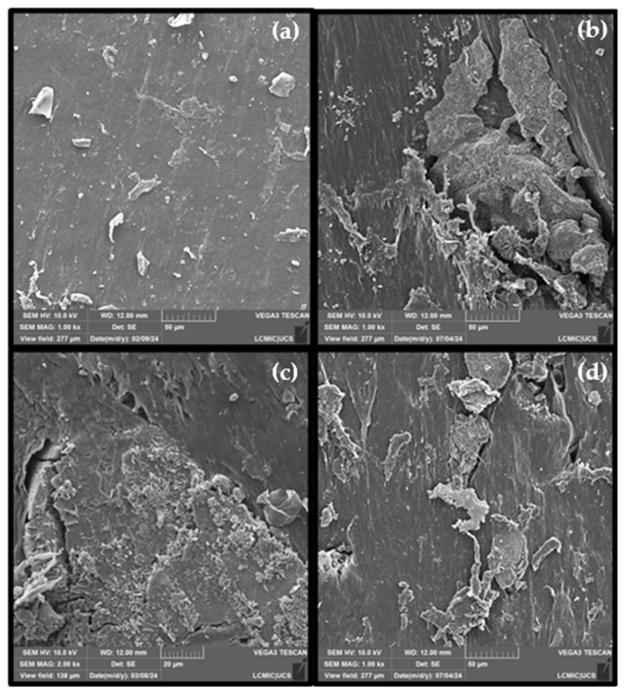 Polymers 16 02727 g001