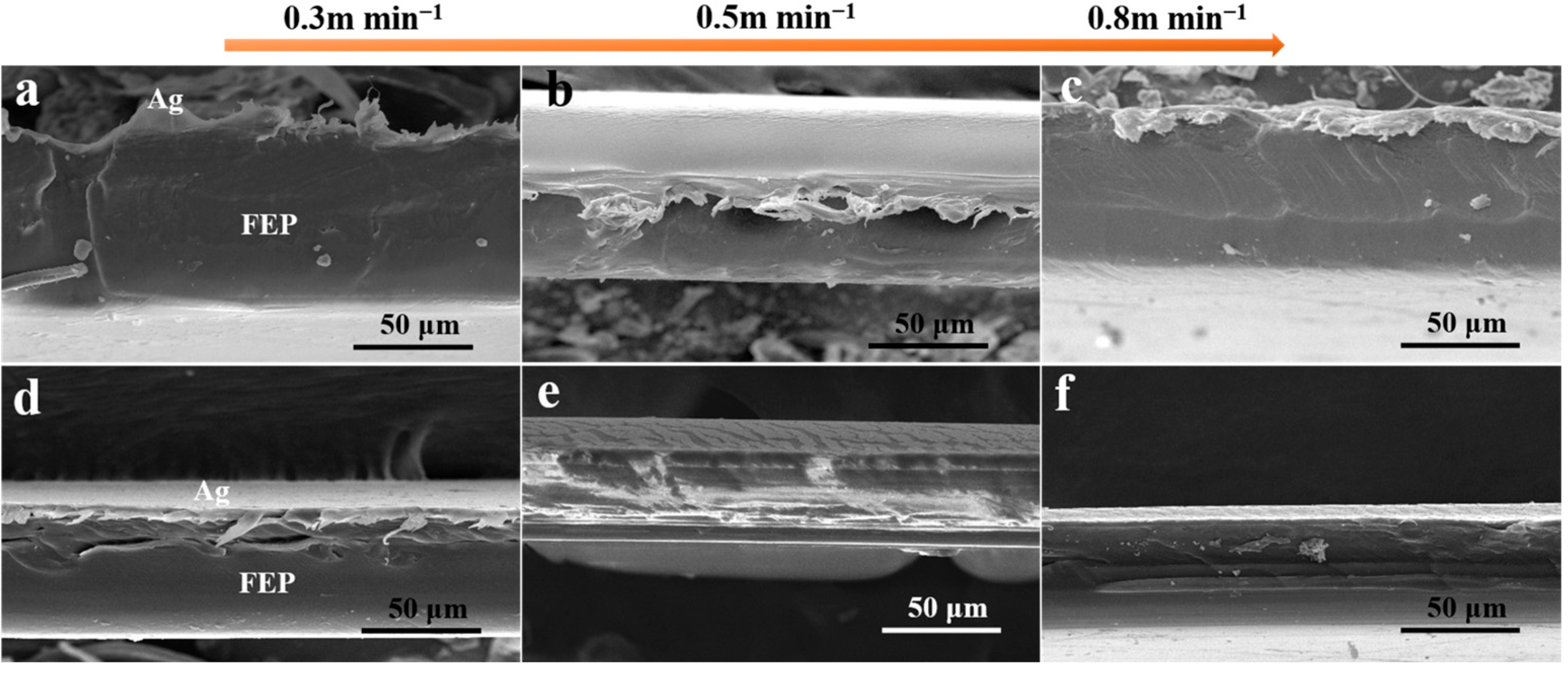 Polymers 16 02730 g002