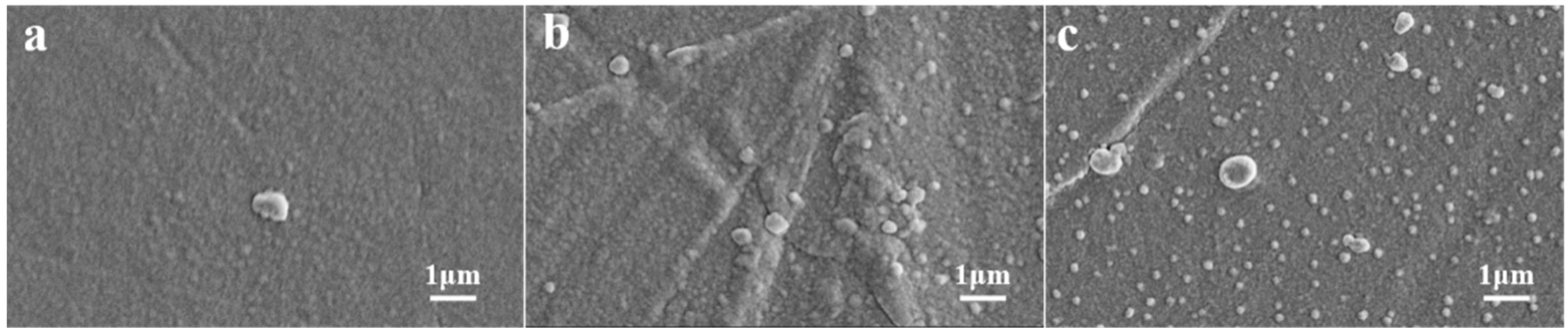 Polymers 16 02730 g003