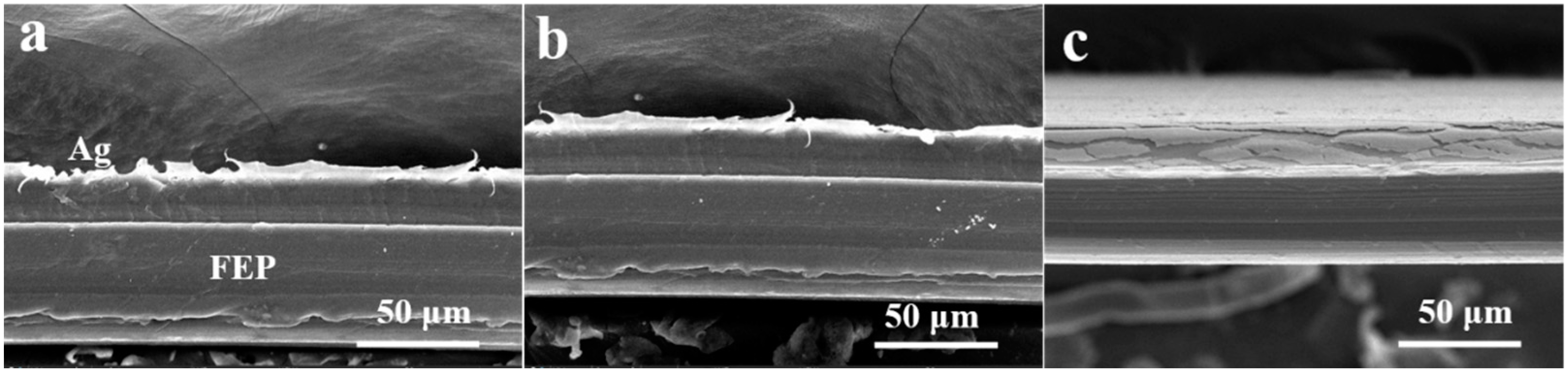 Polymers 16 02730 g004