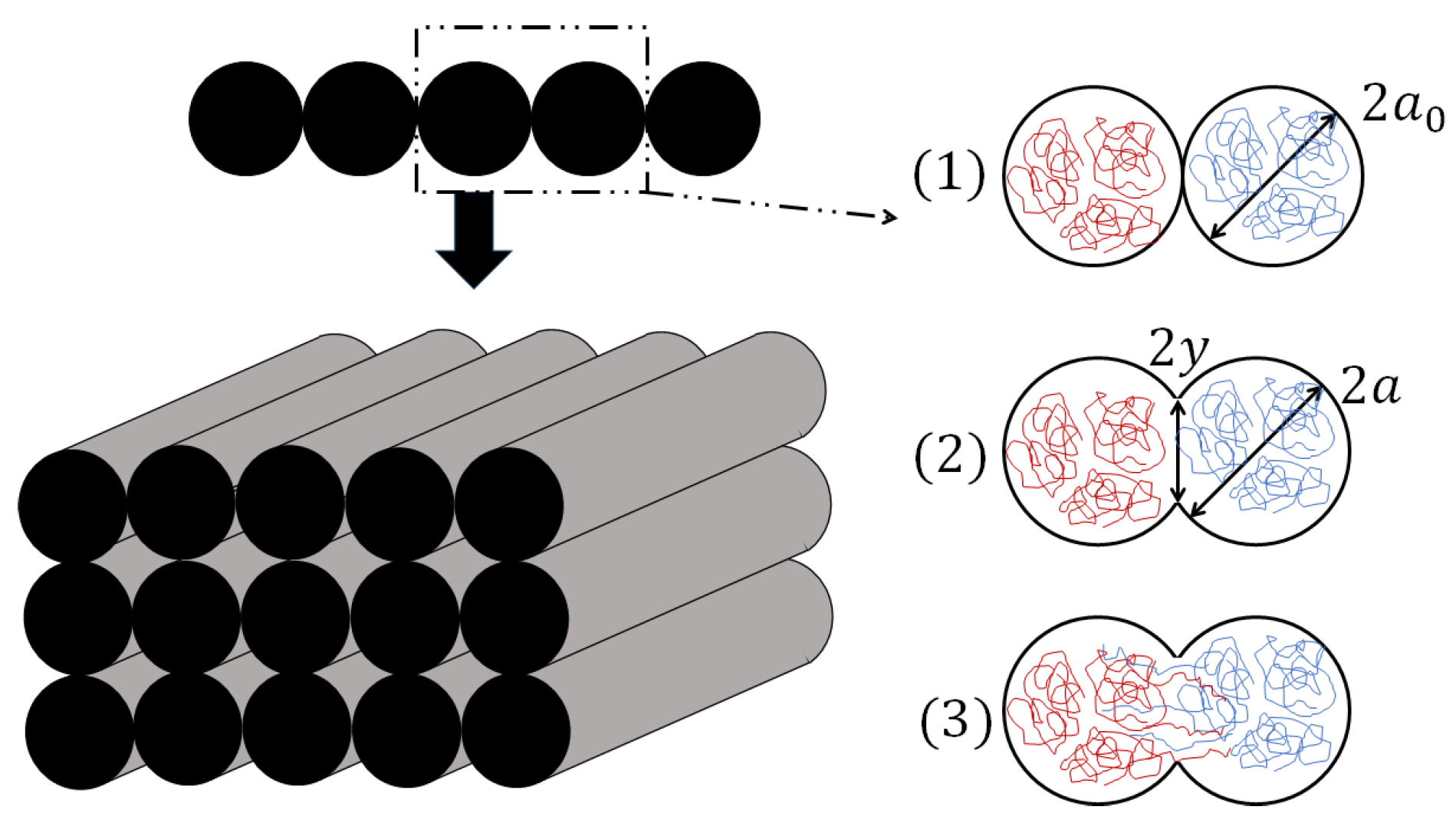 Polymers 16 02732 g001