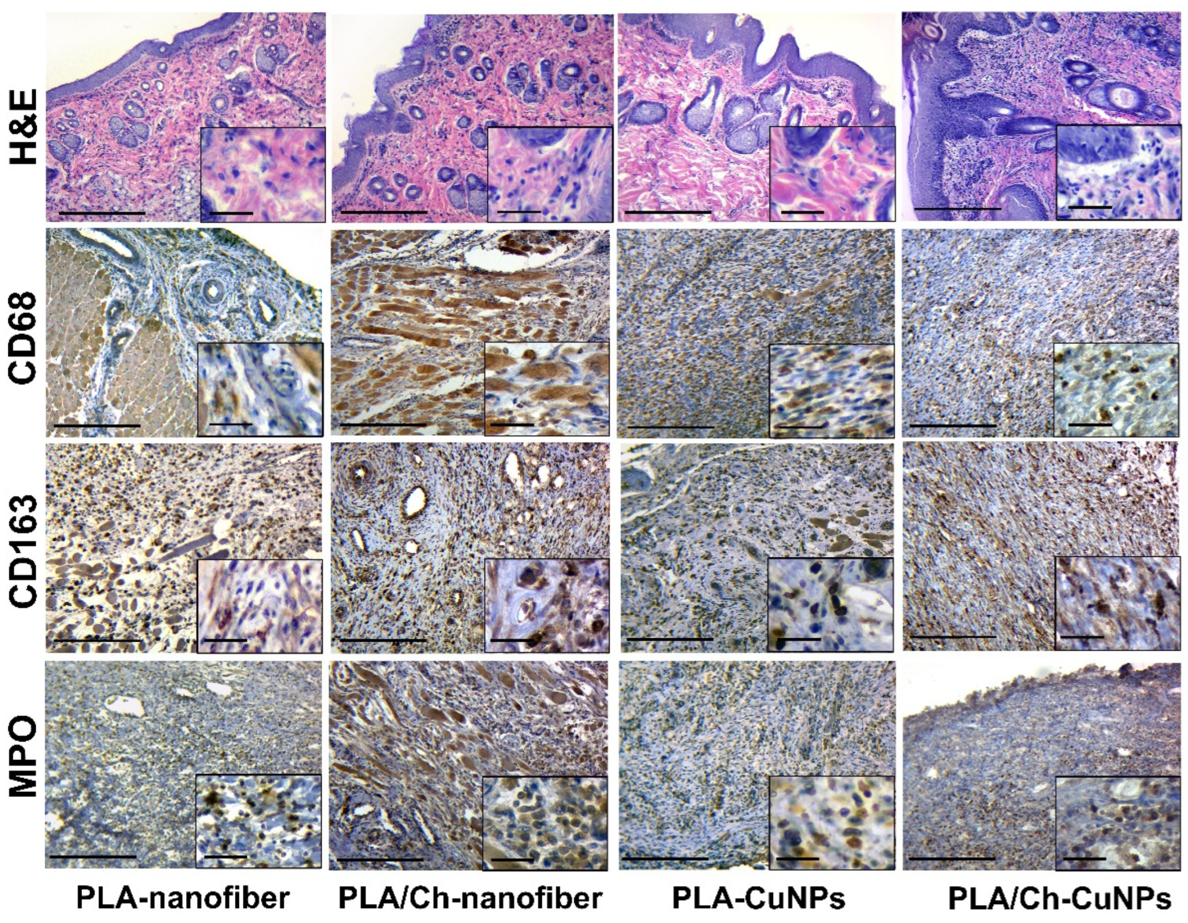 Polymers 16 02733 g007