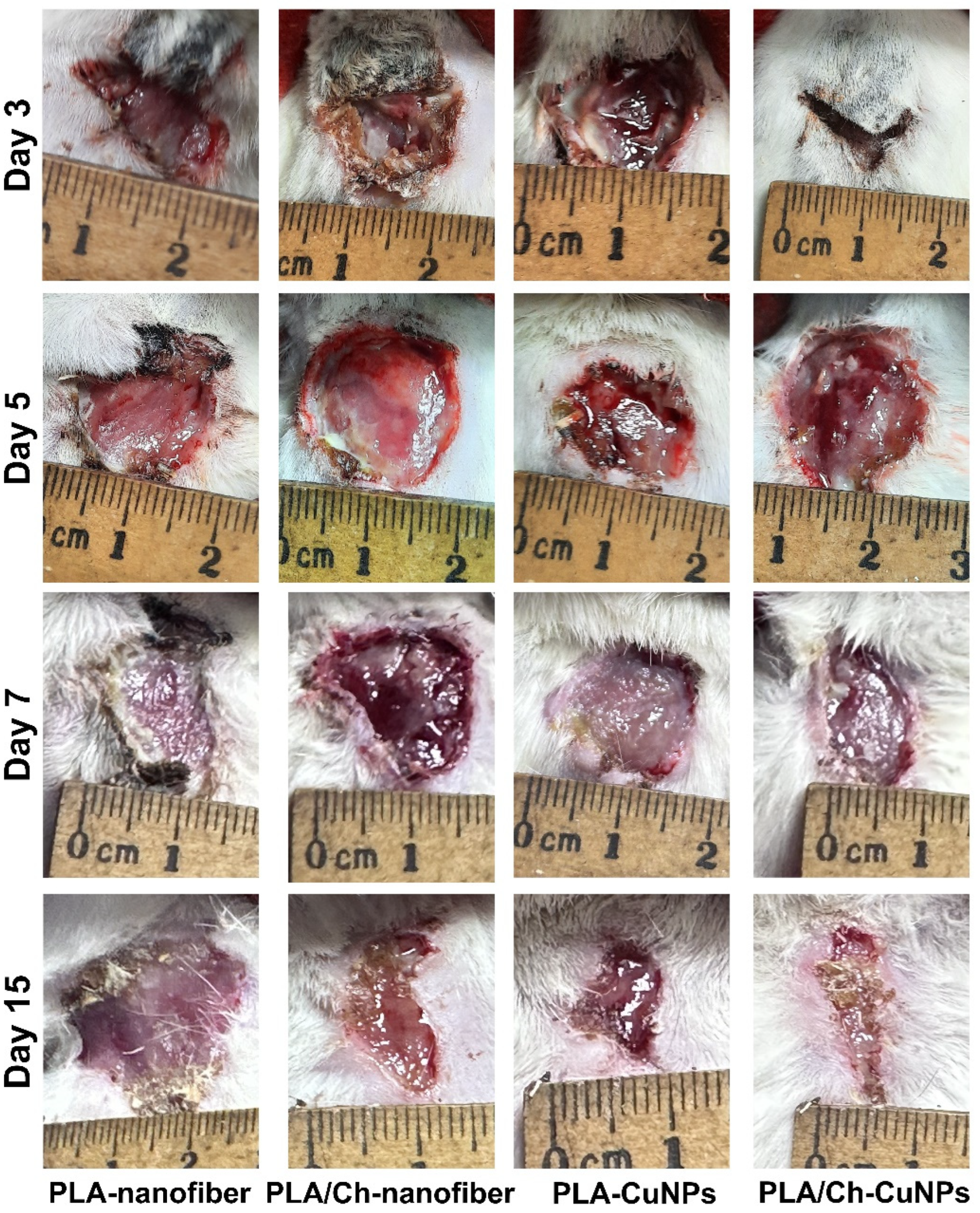 Polymers 16 02733 g0a1